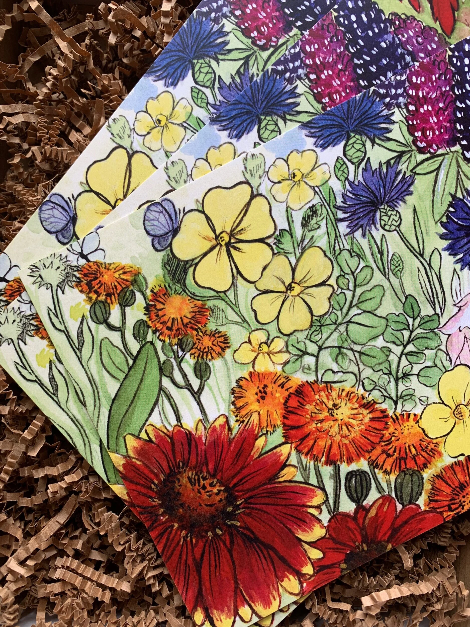 13C6E08E-9F21-403C-85FF-49D1D04E9141