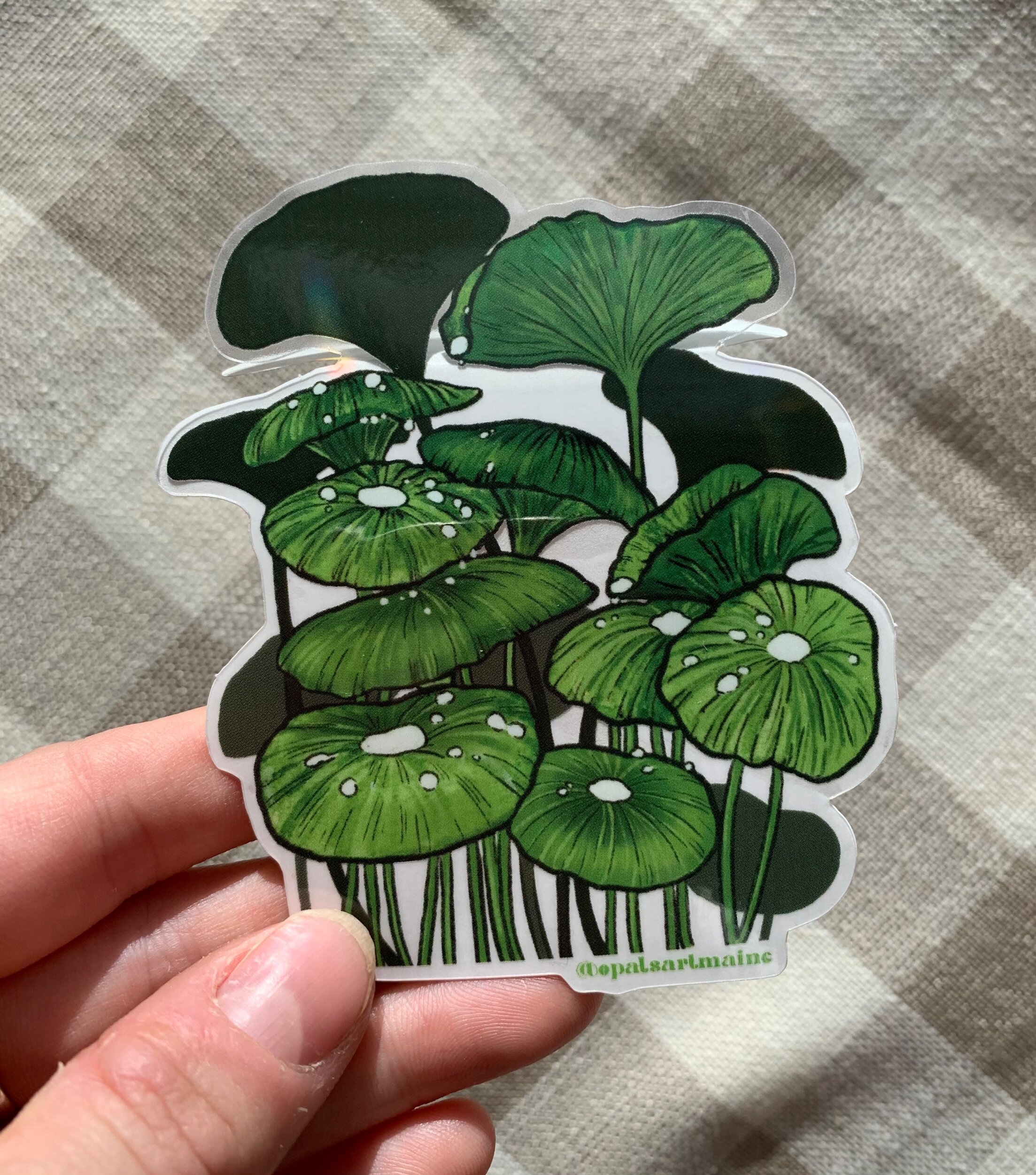 EFF80311-D679-4737-8DBF-0AFD2C9AA3A8