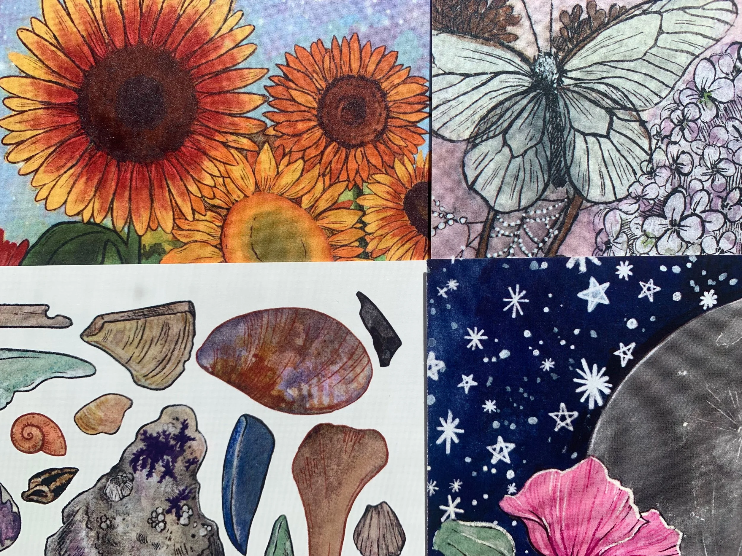 22609063-4986-4BA9-87B7-5414FB25C321