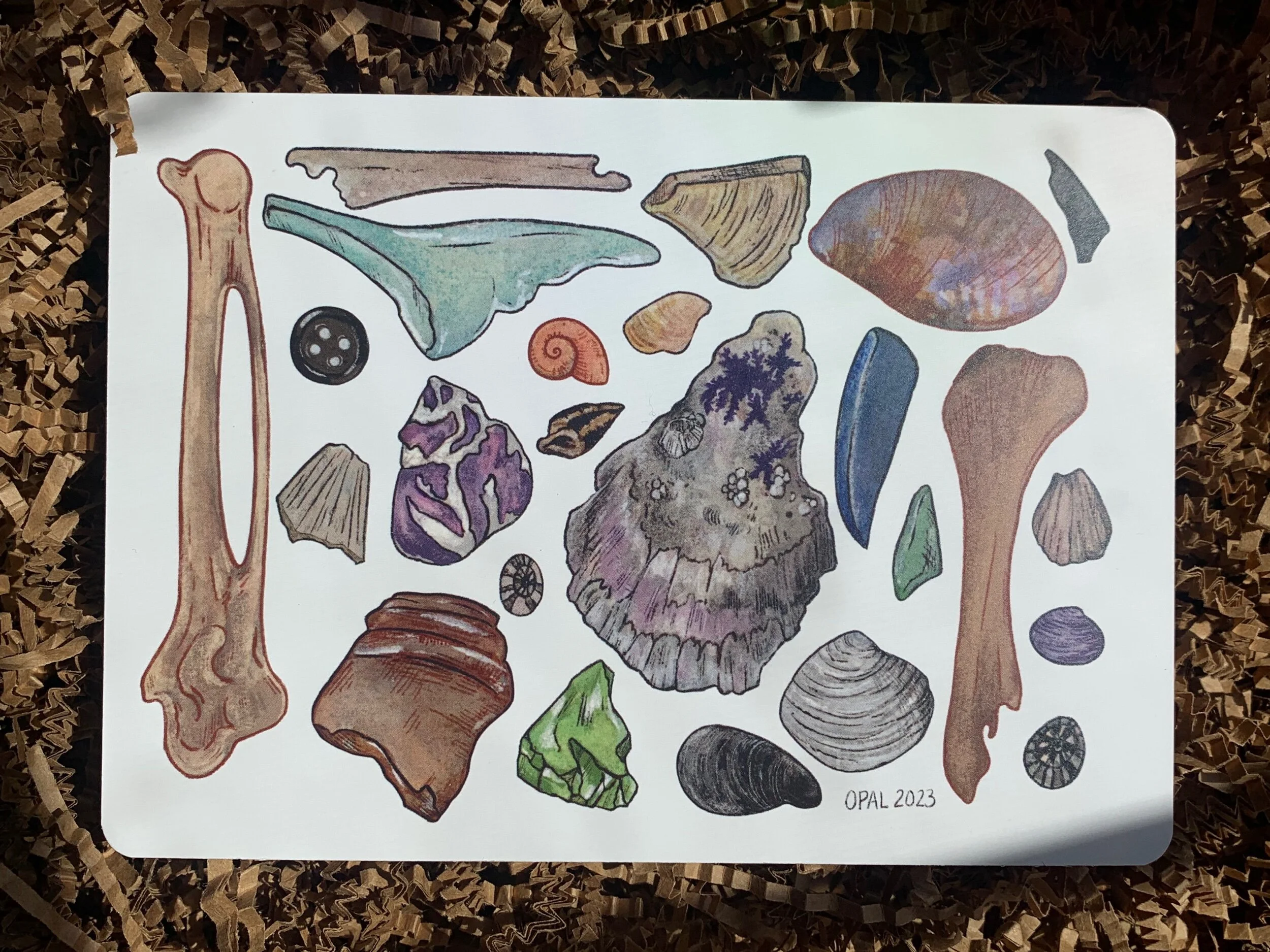 12335C8A-9905-4AB1-B5ED-6EC96D2D6155