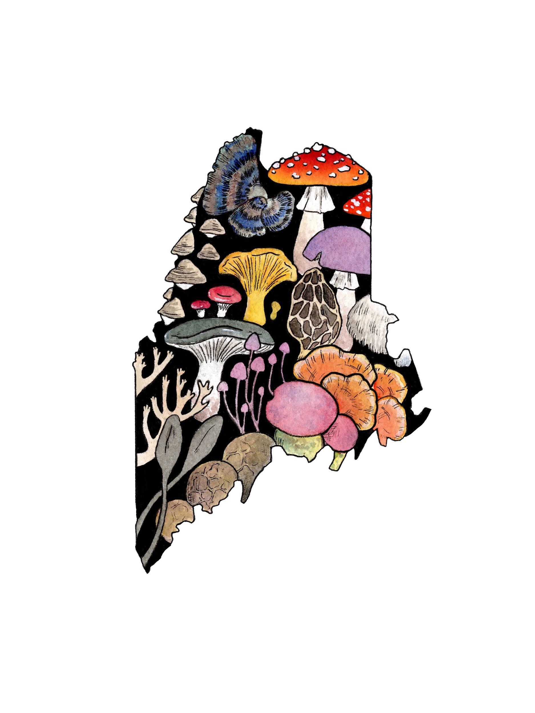 FDBE9590-F385-4CFC-83D1-63F17D7EEE89