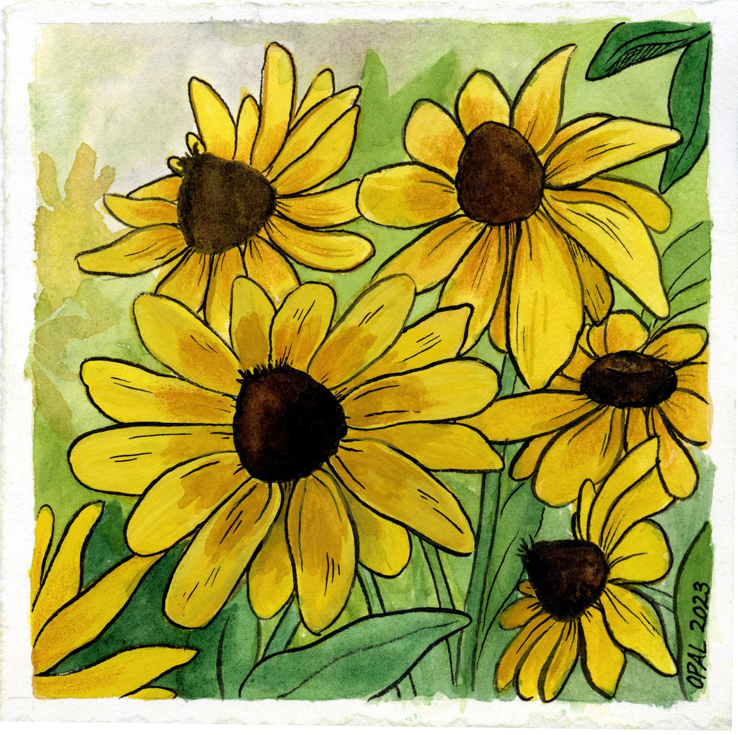Rudbeckia.jpeg