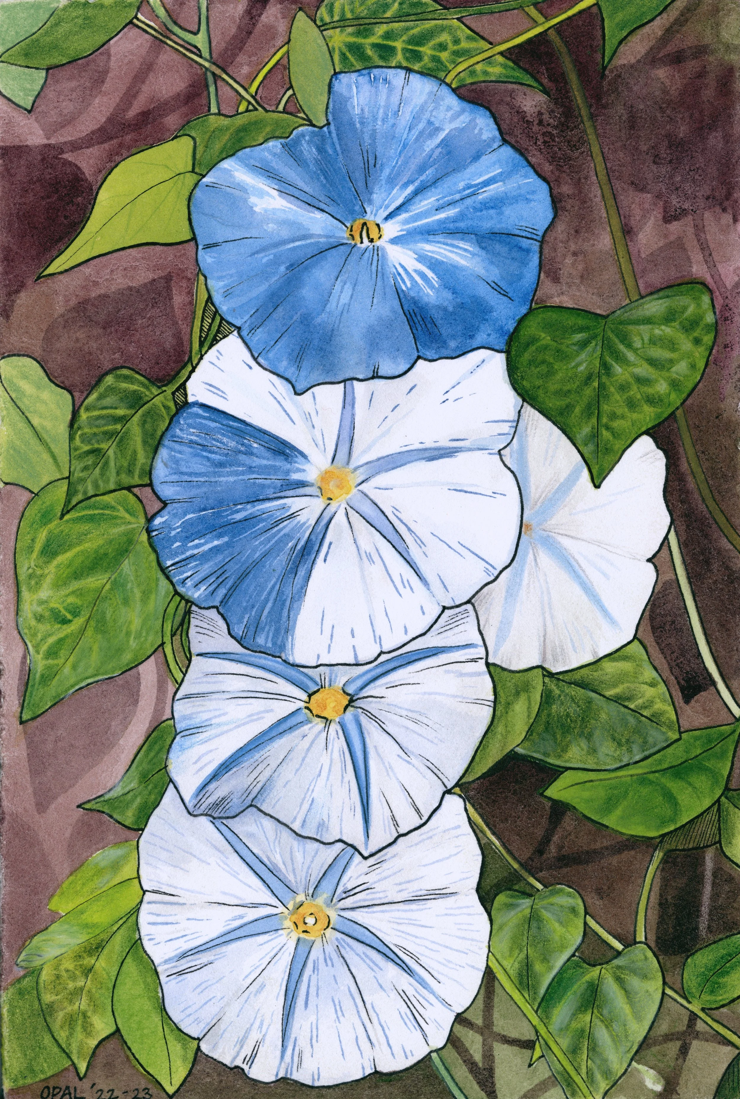 Morning Glories.jpeg
