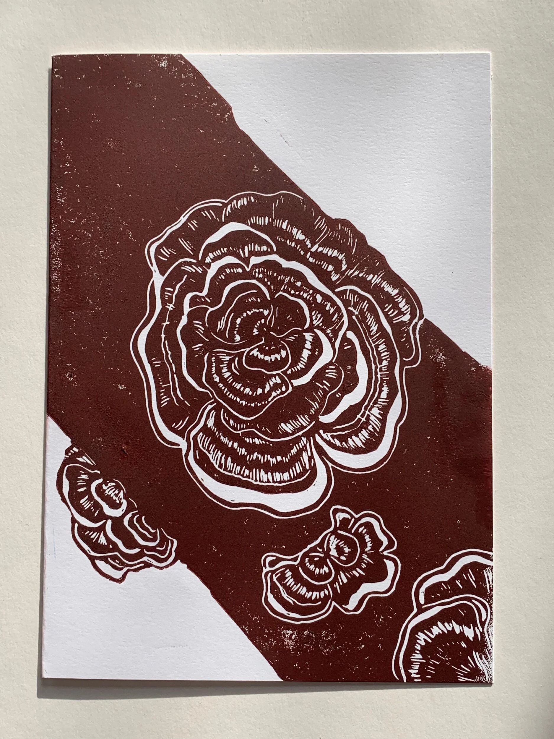 5834DF78-19B5-42E0-BBBA-5D1F448115B6