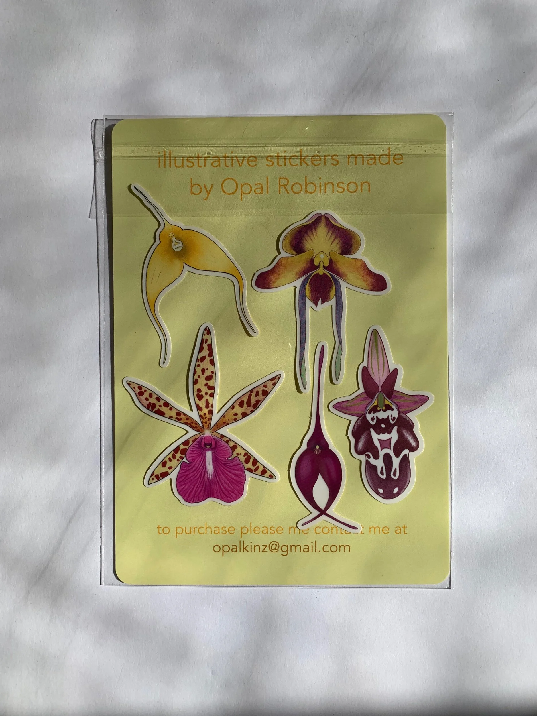 8D180B00-98DA-4FCB-B223-24C269E00E21