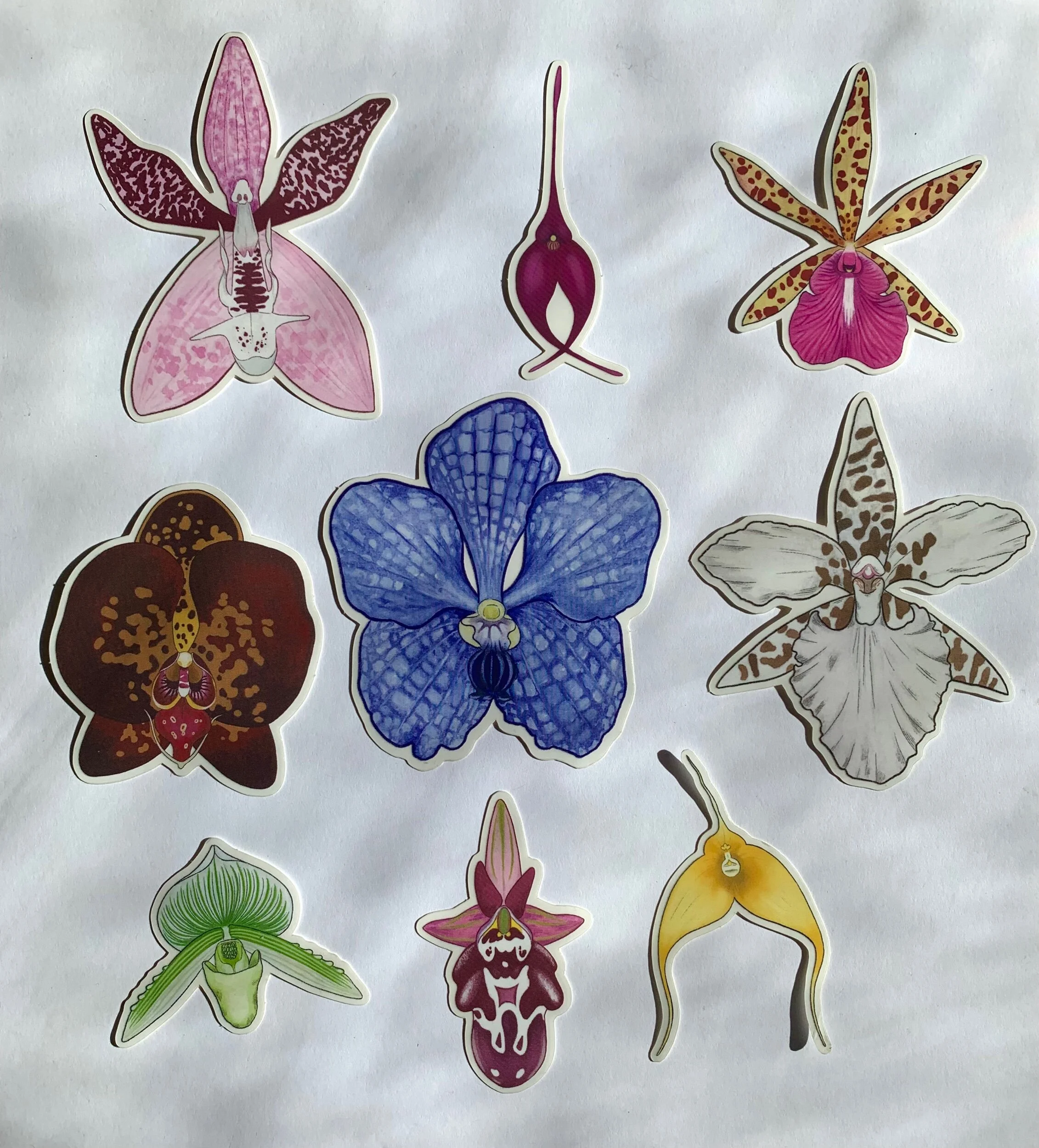 AD2E1E9B-8512-4454-A6E6-669AB48C5D41