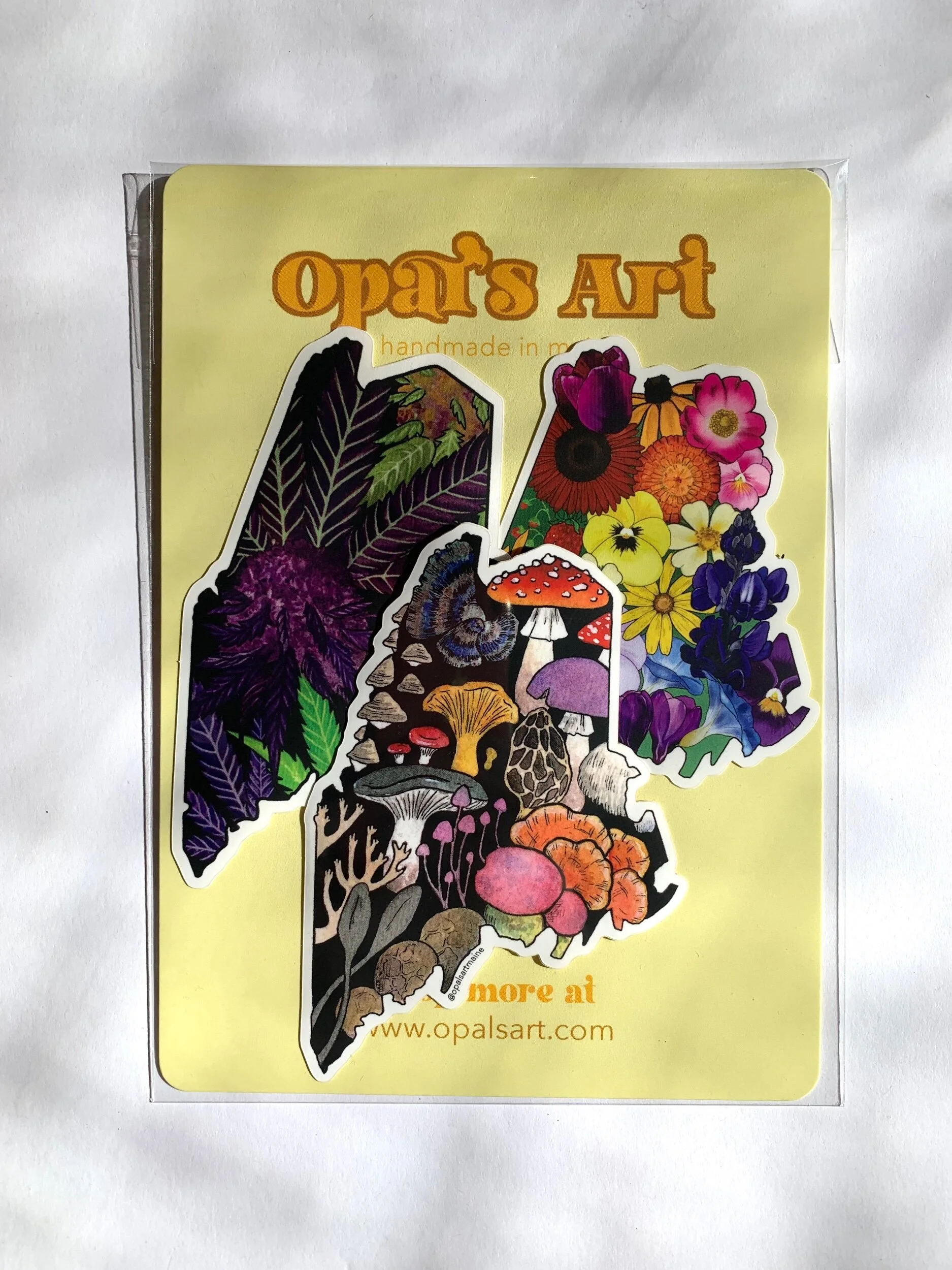 8837D1C7-A964-469F-B61F-9A0A9FED8E0B