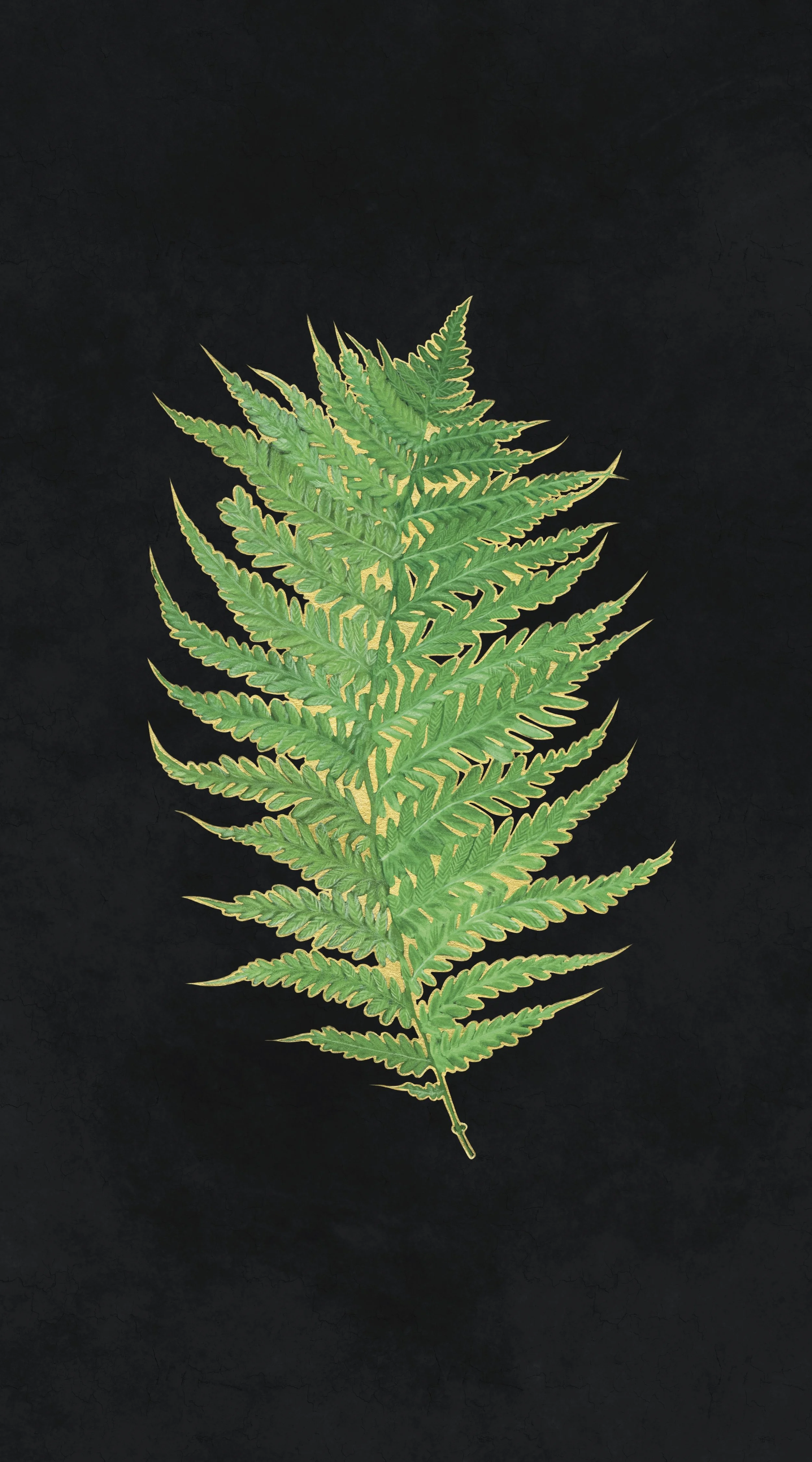 Gilded Fern on Textured bkg.JPG