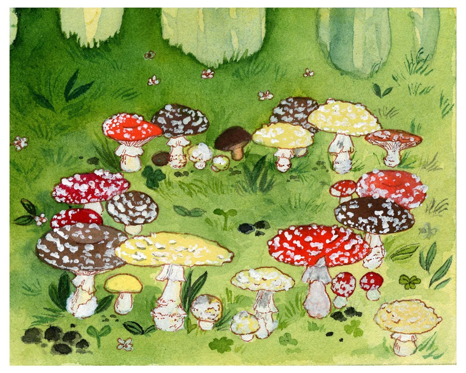 Copy of Fairy Ring_4x5.JPEG