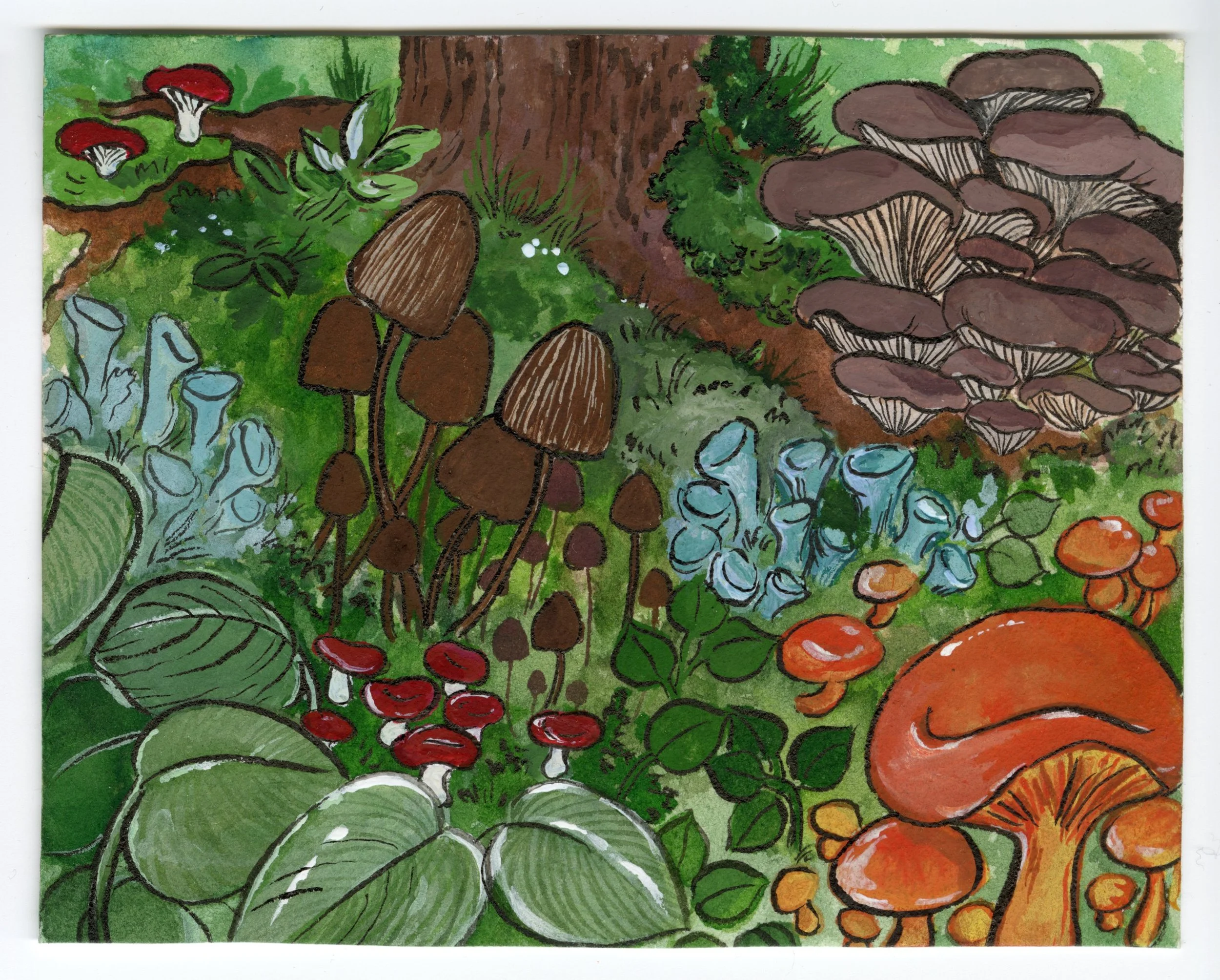 Forest Mushrooms.JPEG