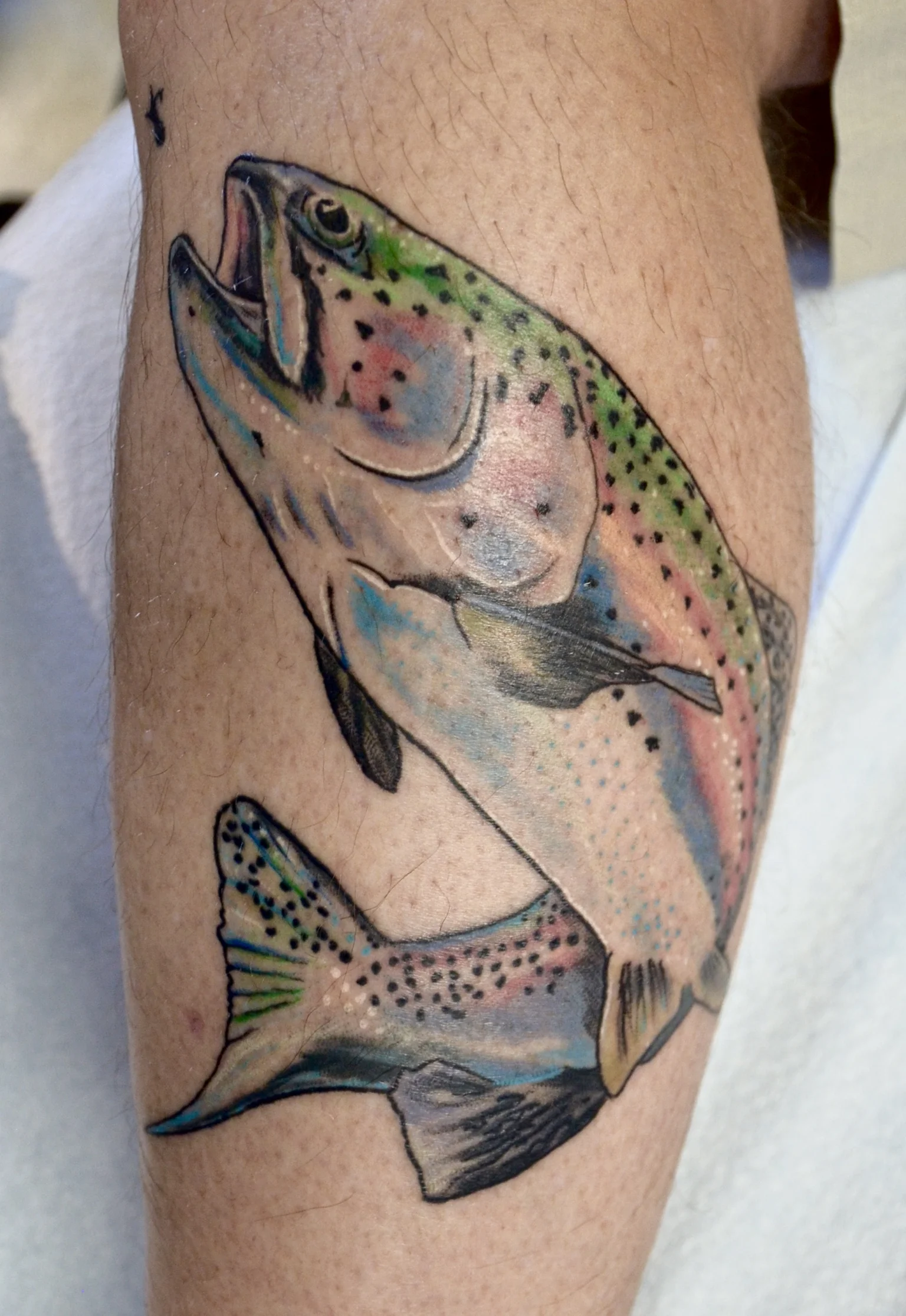 Healed
