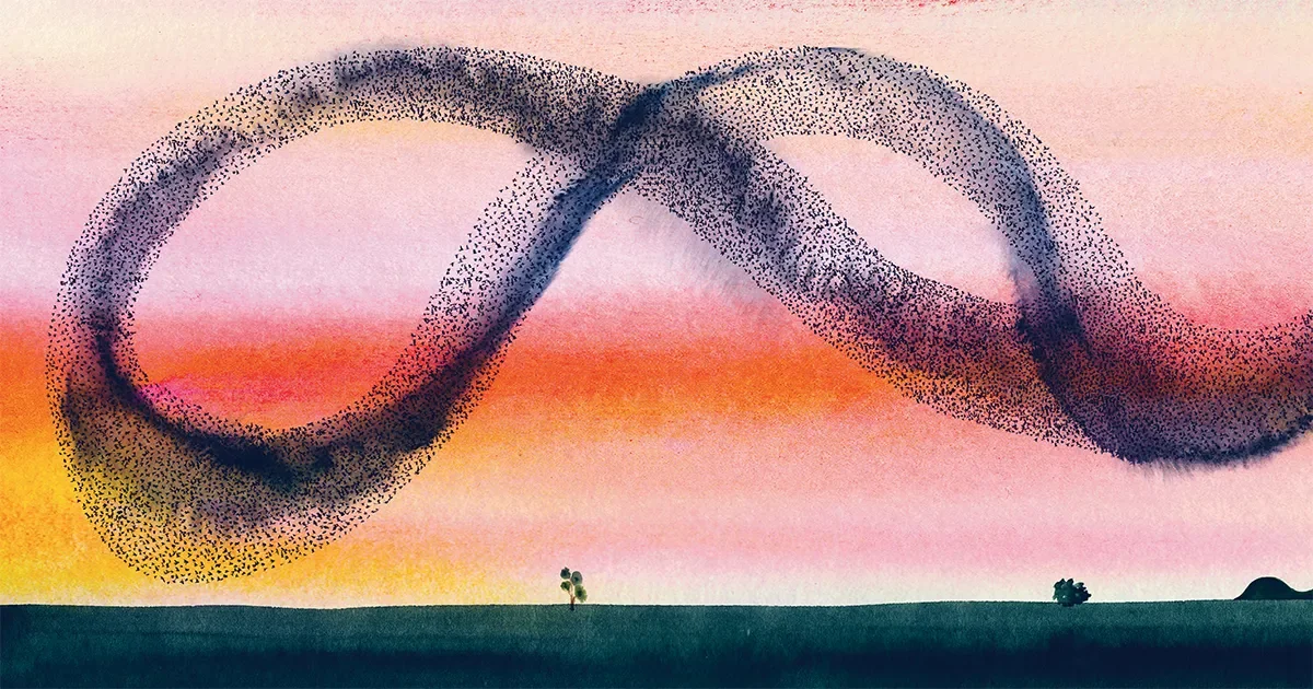 ADHD in Adults: A Nervous System Approach to Focus and Attention