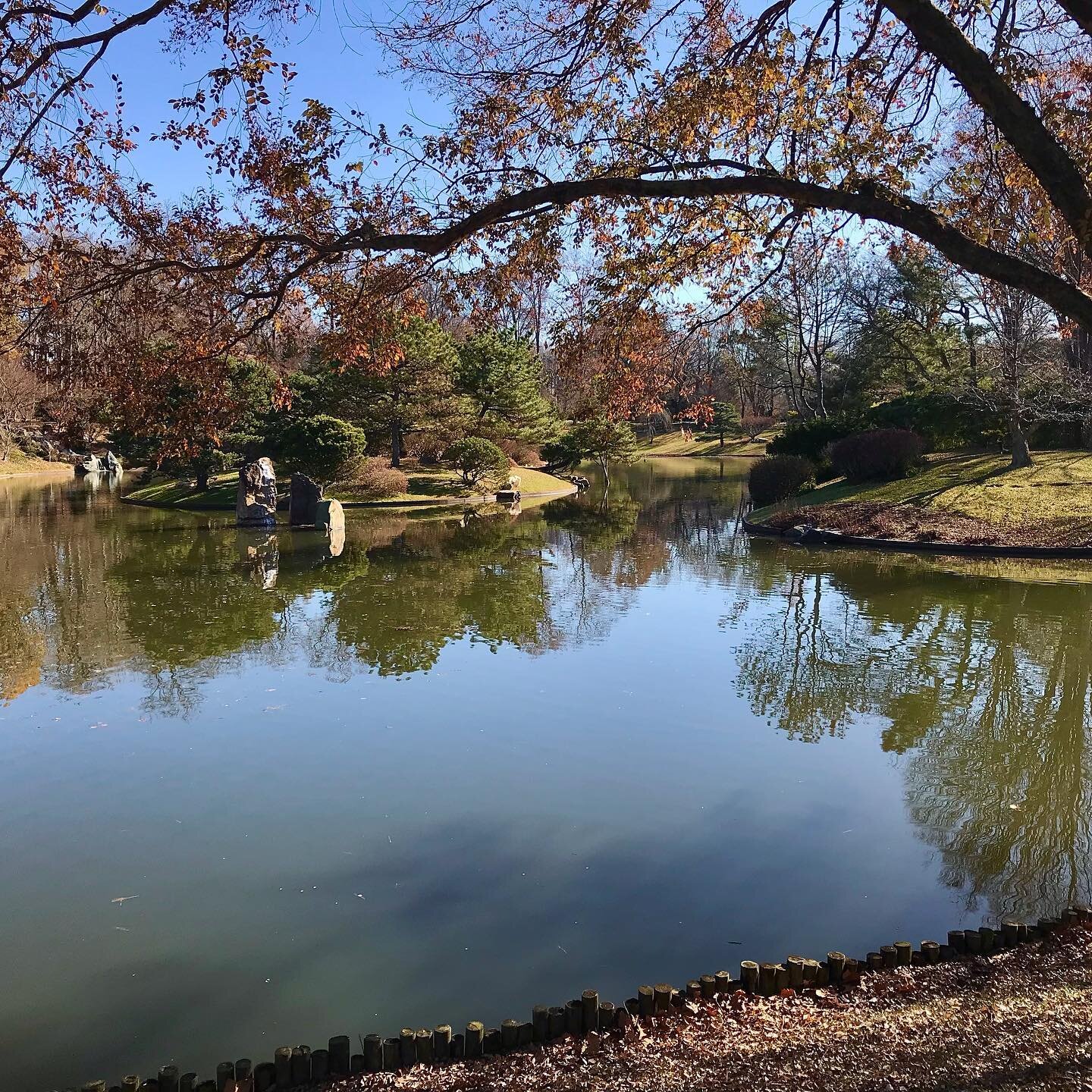 Perfect morning walk in the daylight glow of @mobotgarden  Free admission on Wednesdays until 11 am.

#mobotgarden #walk #wellbeing #health #fitness #outdoors #activeaging