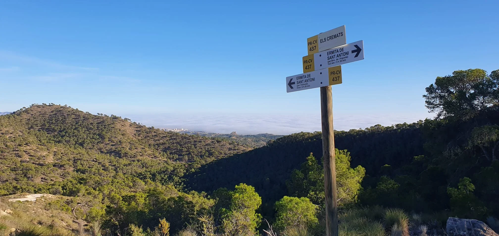 PHOTO-2024-12-16-16-25-14 (2).jpg