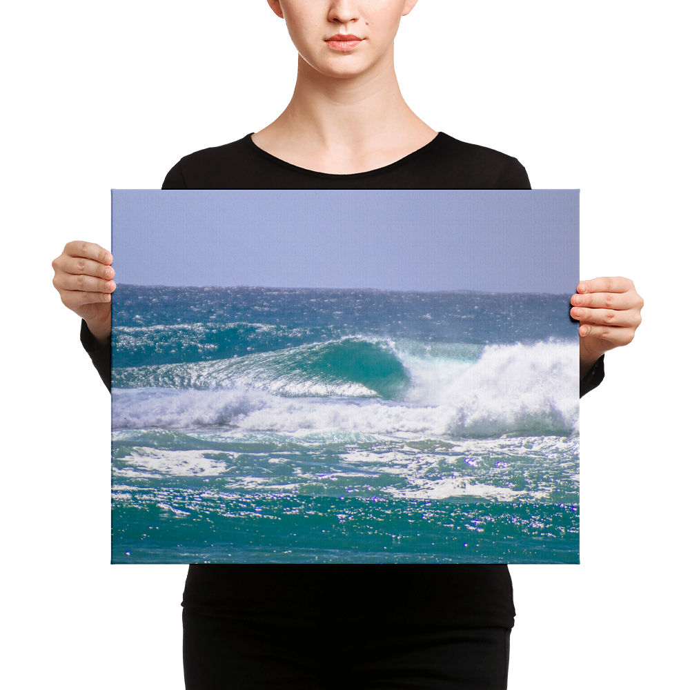 LaJolla_1-31-18-2_mockup_Person_Person_16x20.png