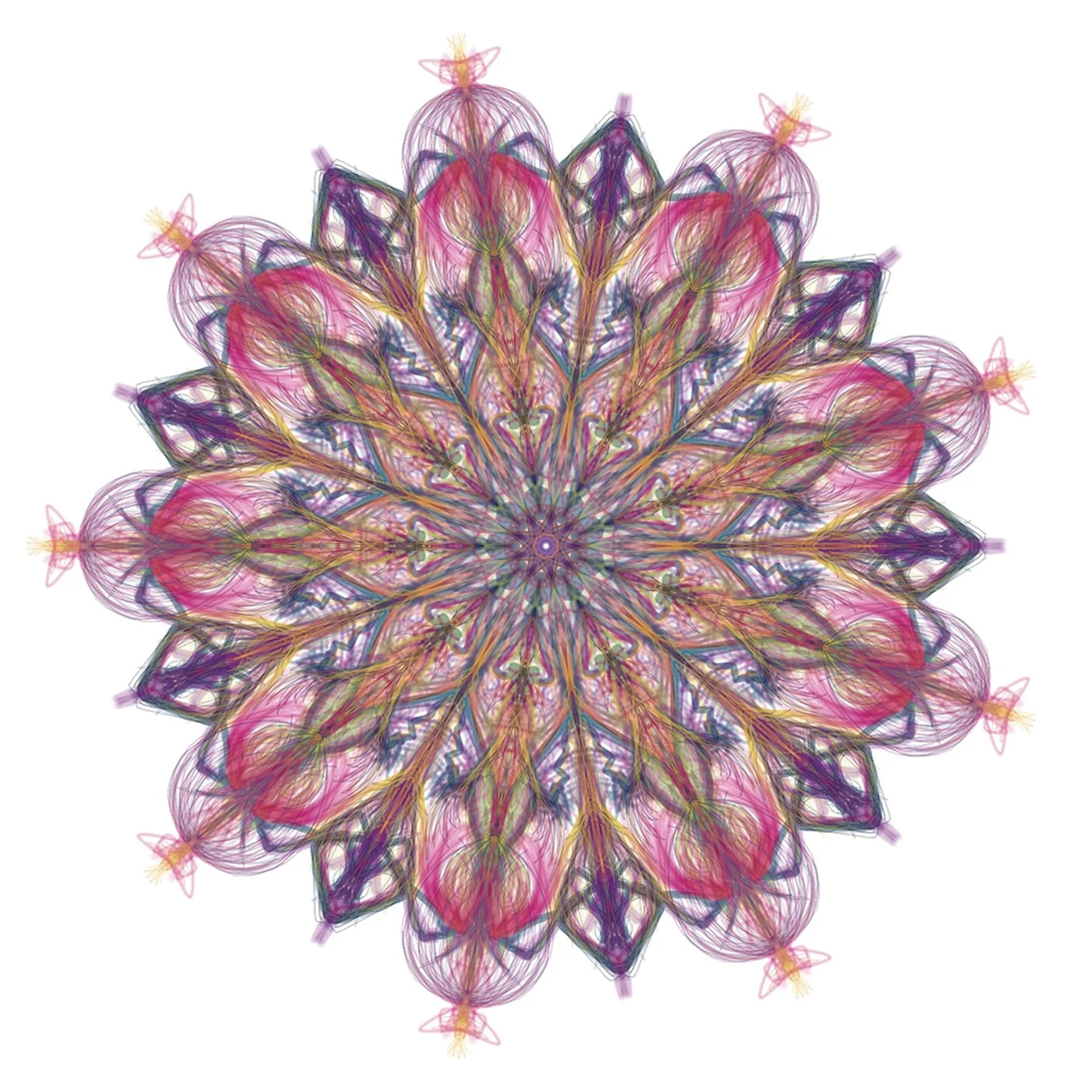 Pink_Purple_Large_wBorder.jpg