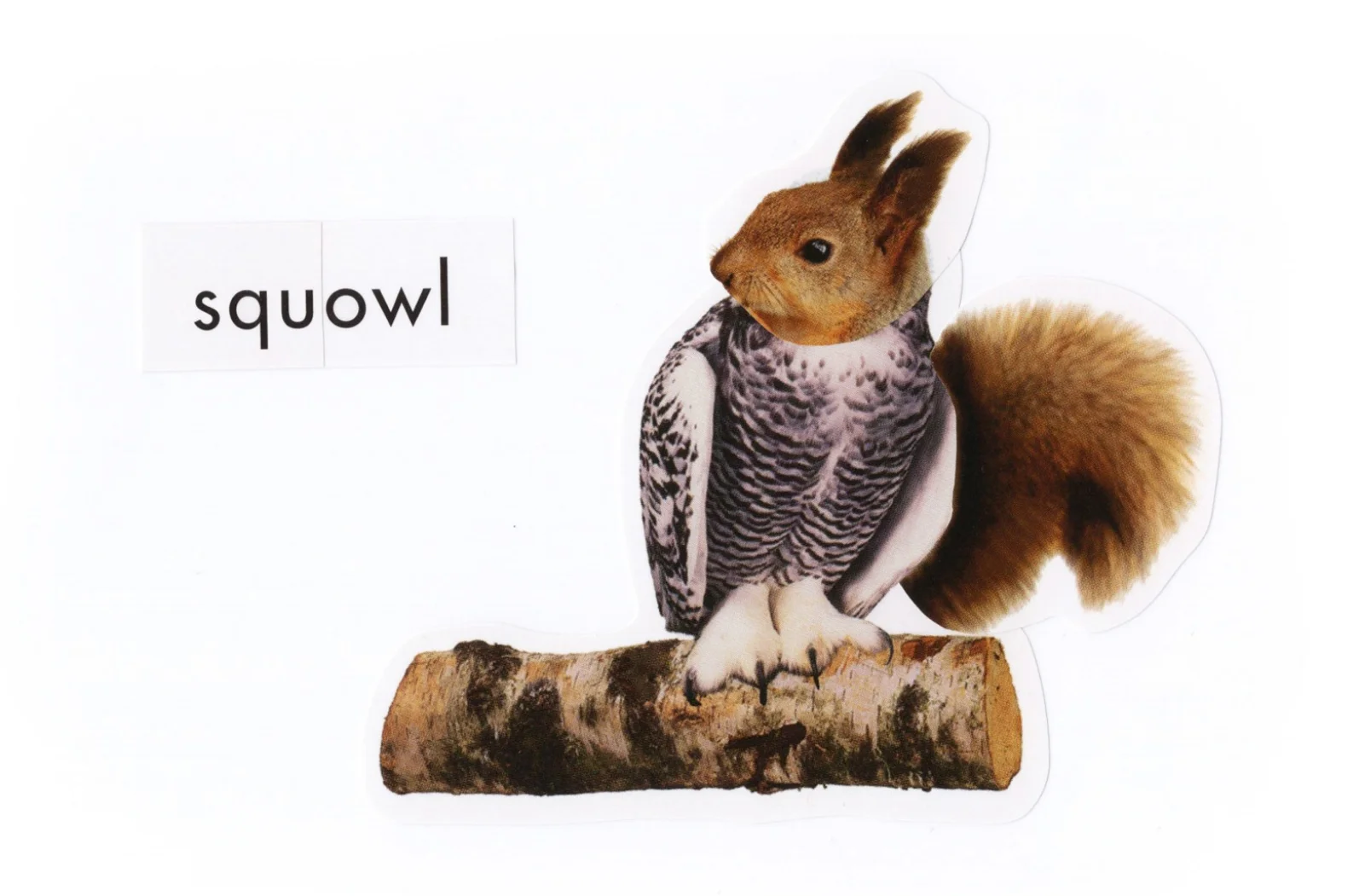 Squowl_print.jpg