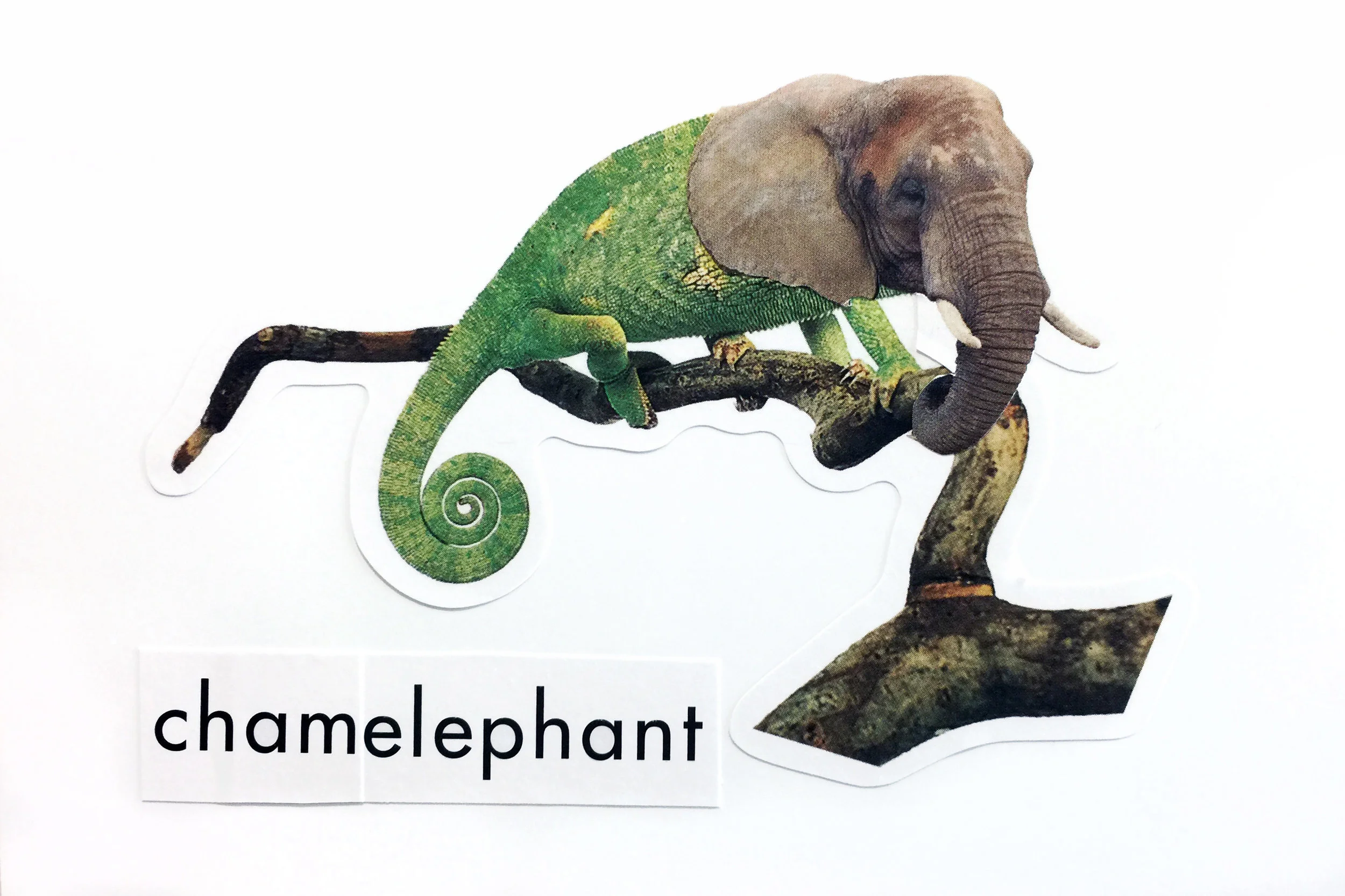 Chamelephant 4x6 Print.jpg