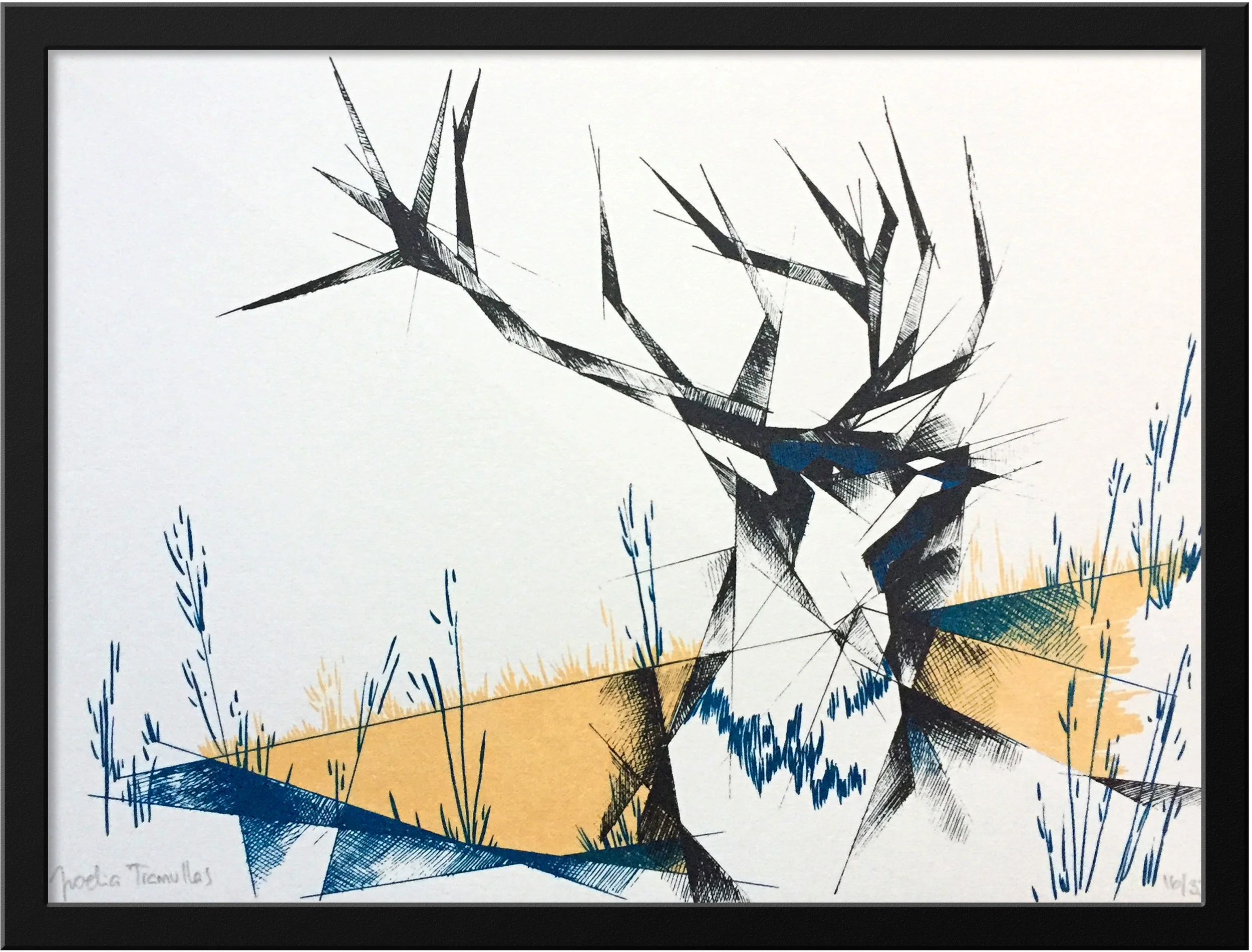 DEER-framed.jpg