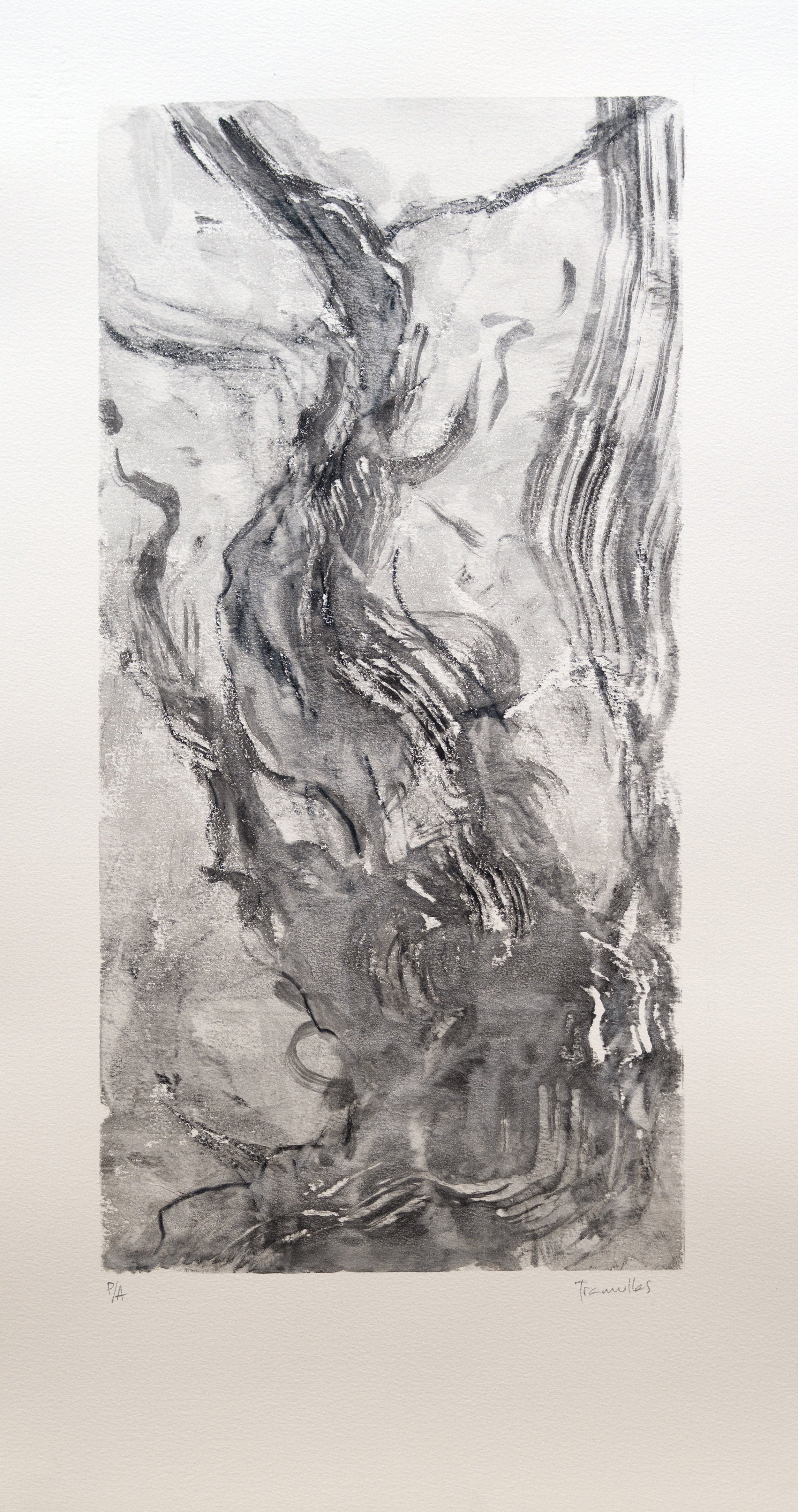 Monoprint y técnica seca