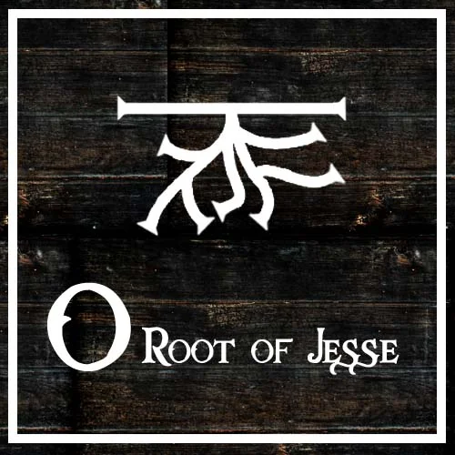 O Root Square.jpg