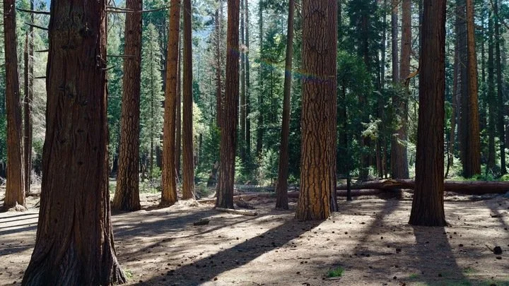 Citizens Retreat (No Sunday Service) 