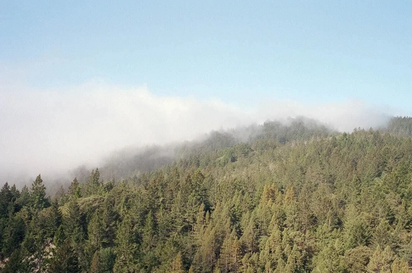 Join us for our monthly all-church Dinner + Prayer meeting next Wednesday, December 10th, from 6 to 7:30pm! We'll be meeting at our office in the Inner Sunset, above Green Apple Books on 9th Avenue.

December can be a busy and hectic month, filled wi