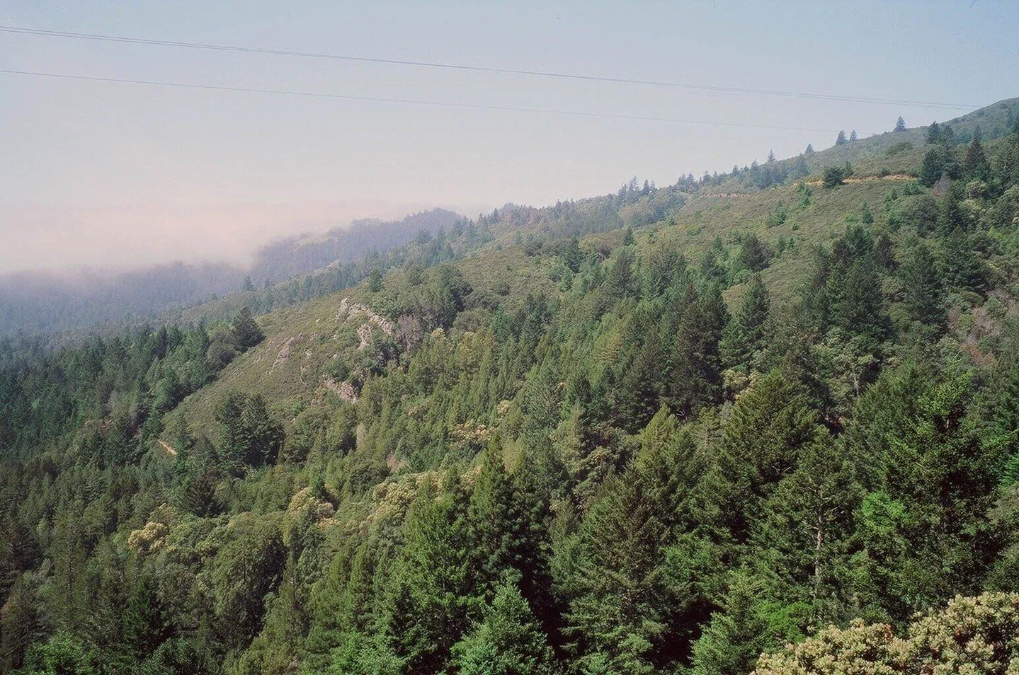 Joy to the world, the Lord is come! Let earth receive her King;
let every heart prepare him room, and heaven and nature sing.

No more let sins and sorrows grow, nor thorns infest the ground;
he comes to make his blessings flow, far as the curse is f