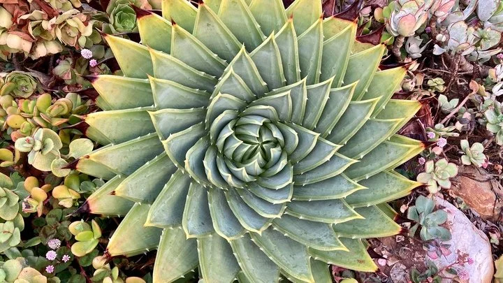 Citizens Women's Retreat