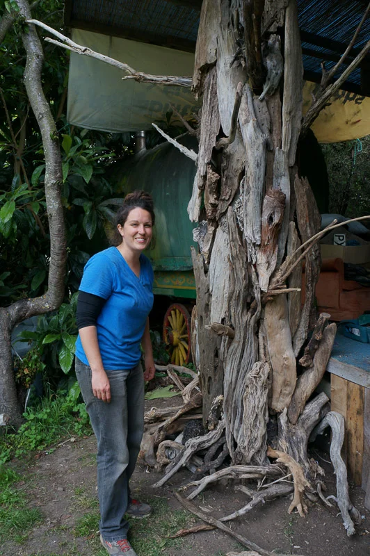 I loved making the driftwood tree sculptures around the stage! &nbsp;