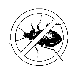 No bugs