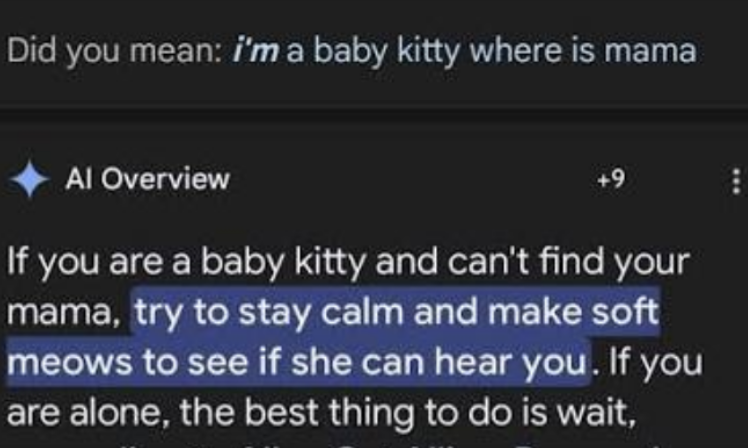 Did you mean: i'm a baby kitty where is mama . AI Overview: If you are a baby kitty and can't find your mama, try to stay calm and make soft meows to see if she can hear you. If you are alone, the best thing to do is wait... (+9 citations)