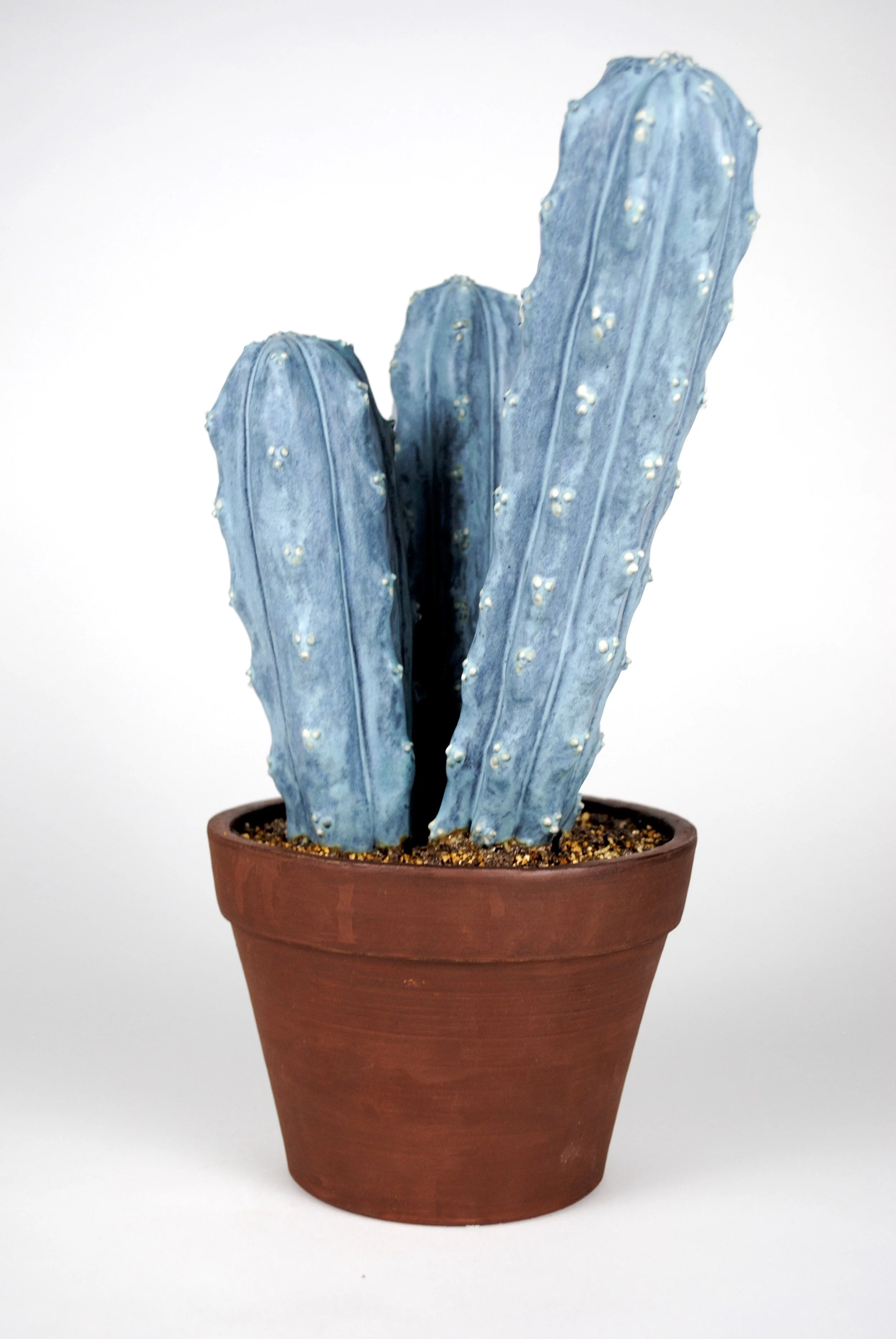 Trichoveganus Patchouli