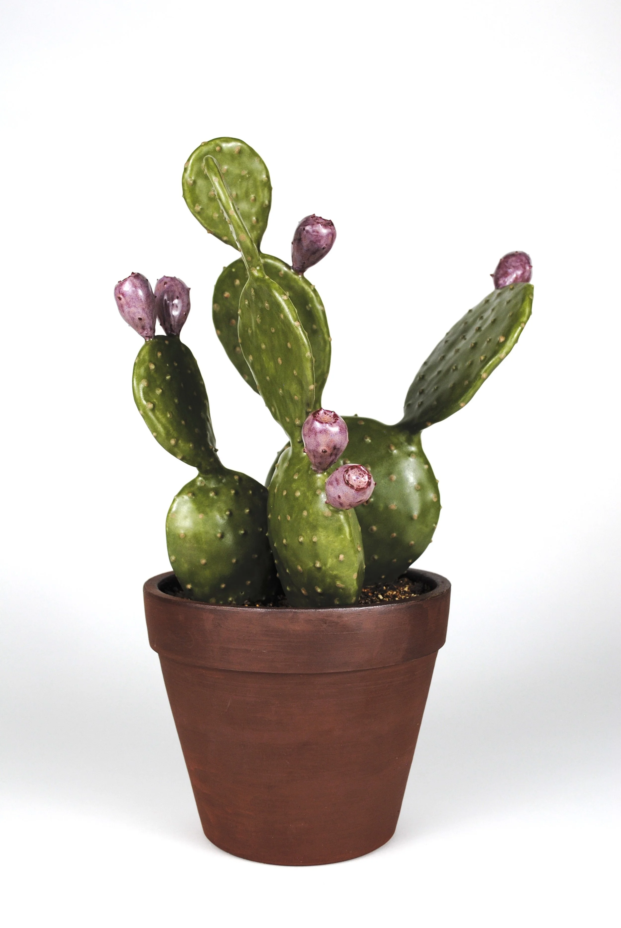 Prickly Fair [Trade]