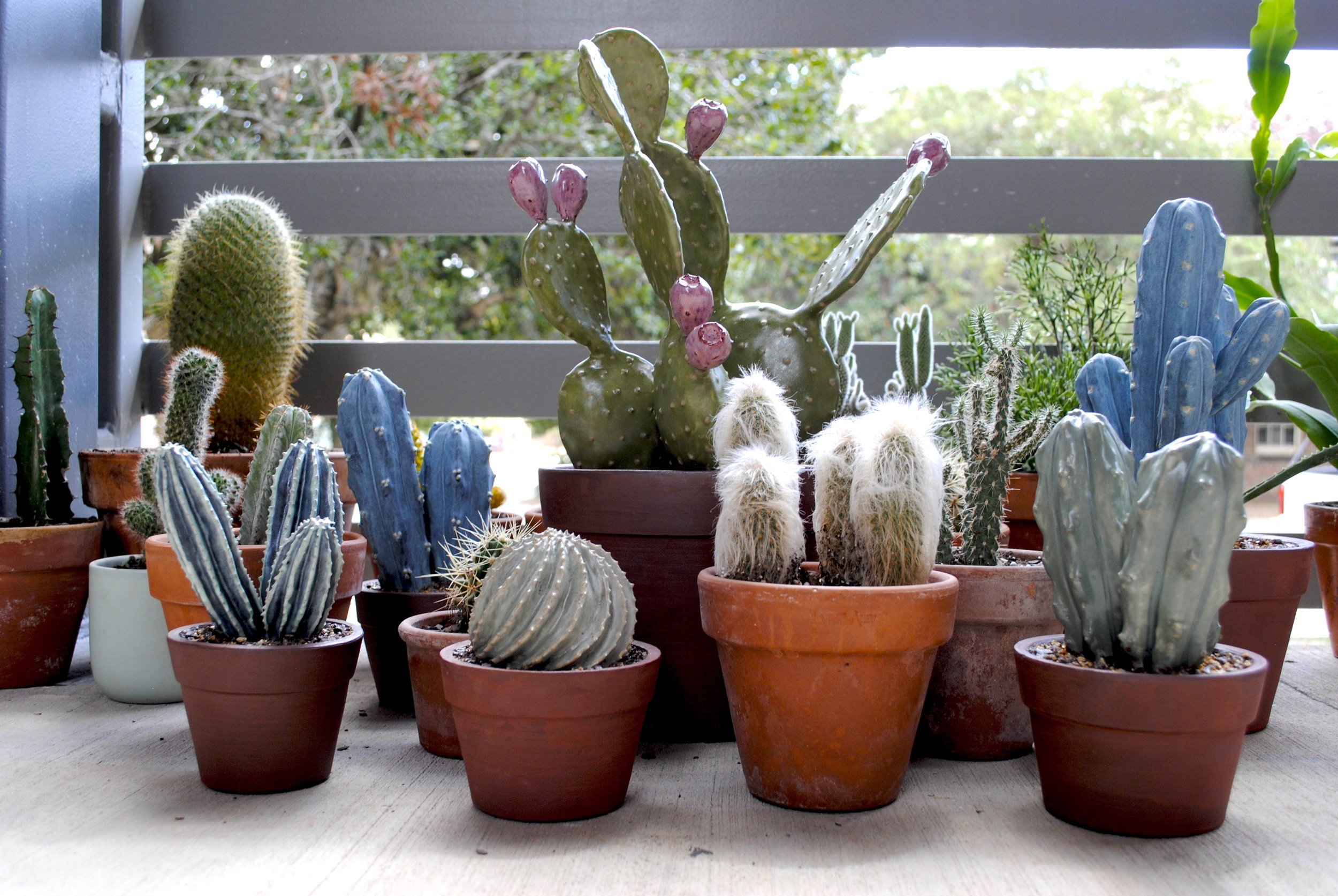 Phonies. God damn phonies.