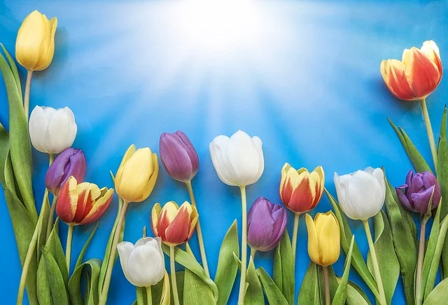 Easter Opening 2018