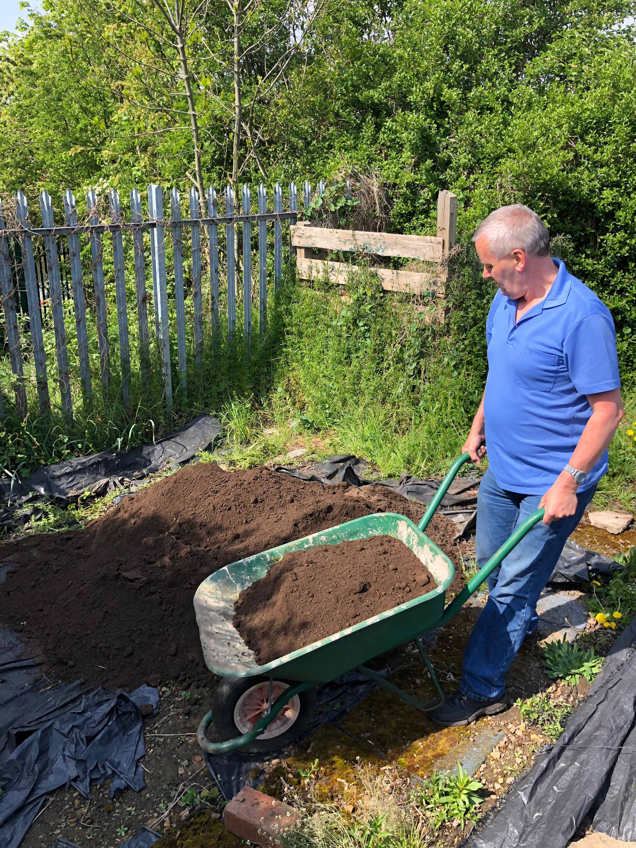 Allotment 4.jpg