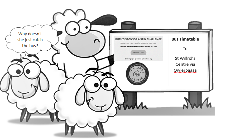 24 February - Day 3 - Three Sheep and a Bus