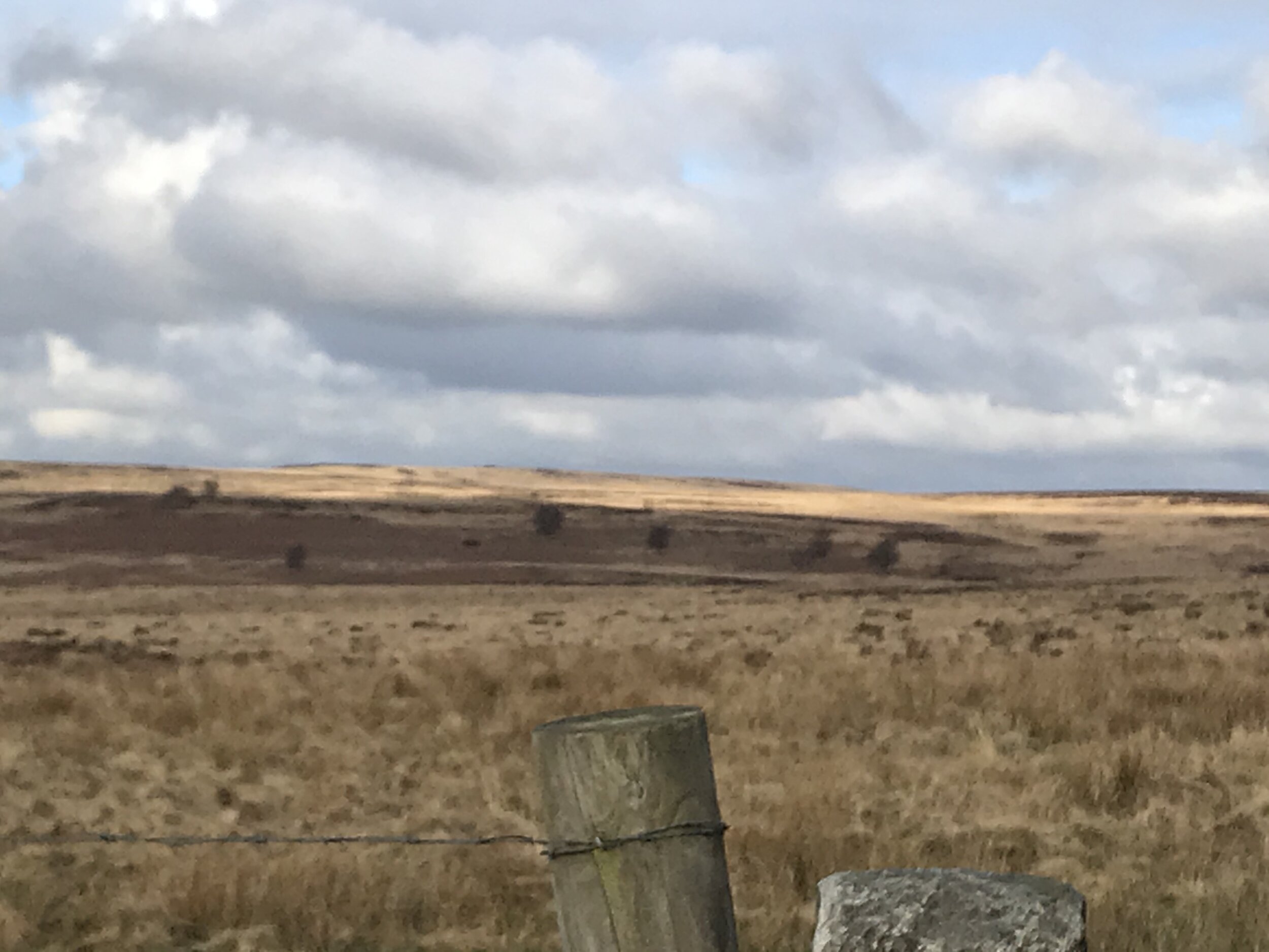 5 March - Day 8 - Wheelie, wheelie tired