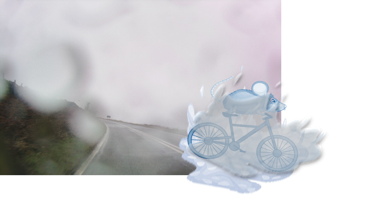 10 March - Day 11 - Looking Like a Drowned Rat