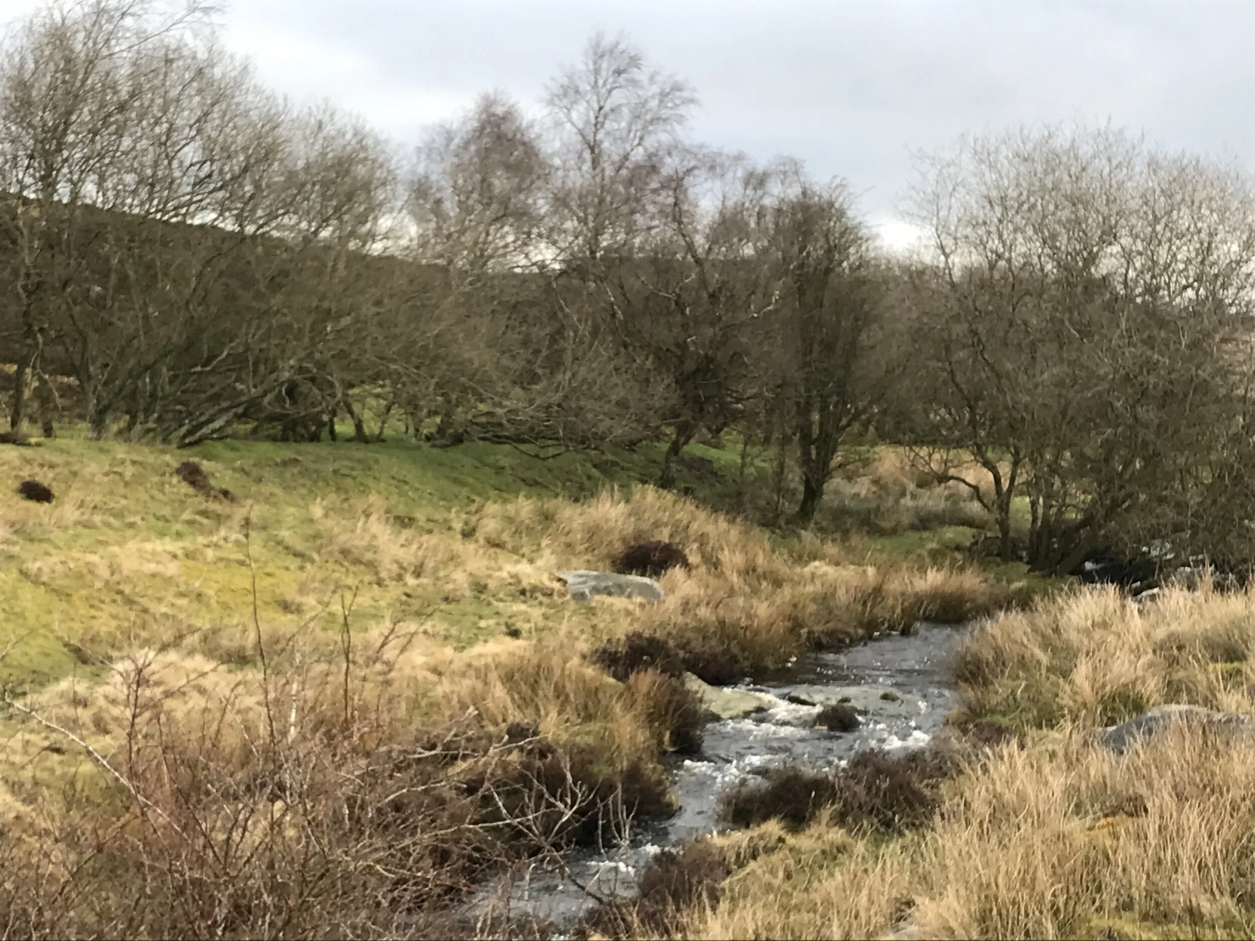 15 March - Day 13 - ‘Practice great gentleness toward the poor and toward everyone. Try to satisfy as much by words as by actions.’ Louise de Marillac