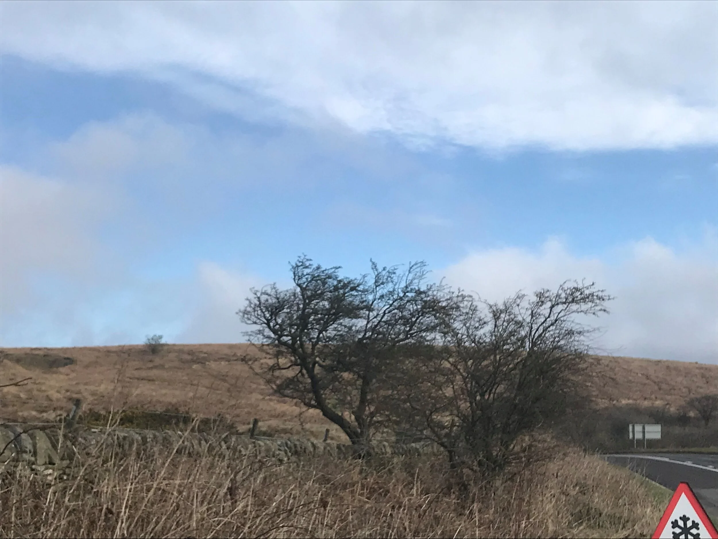 22 March - Day 18 - A Kind Word is Like a Spring Day - proverb