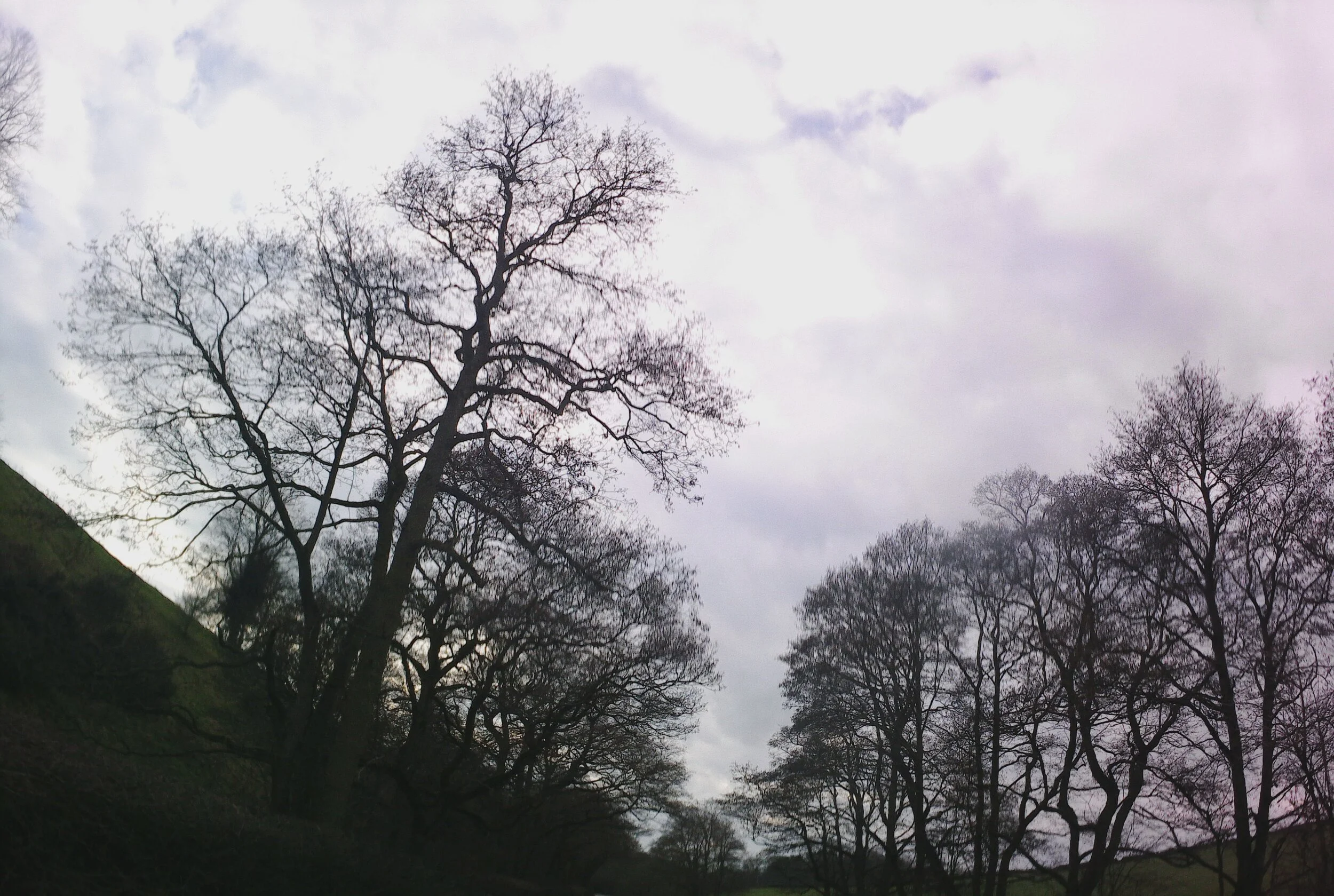 24 March - Day 20 - “It does not do to dwell on dreams and forget to live.” JK Rowling