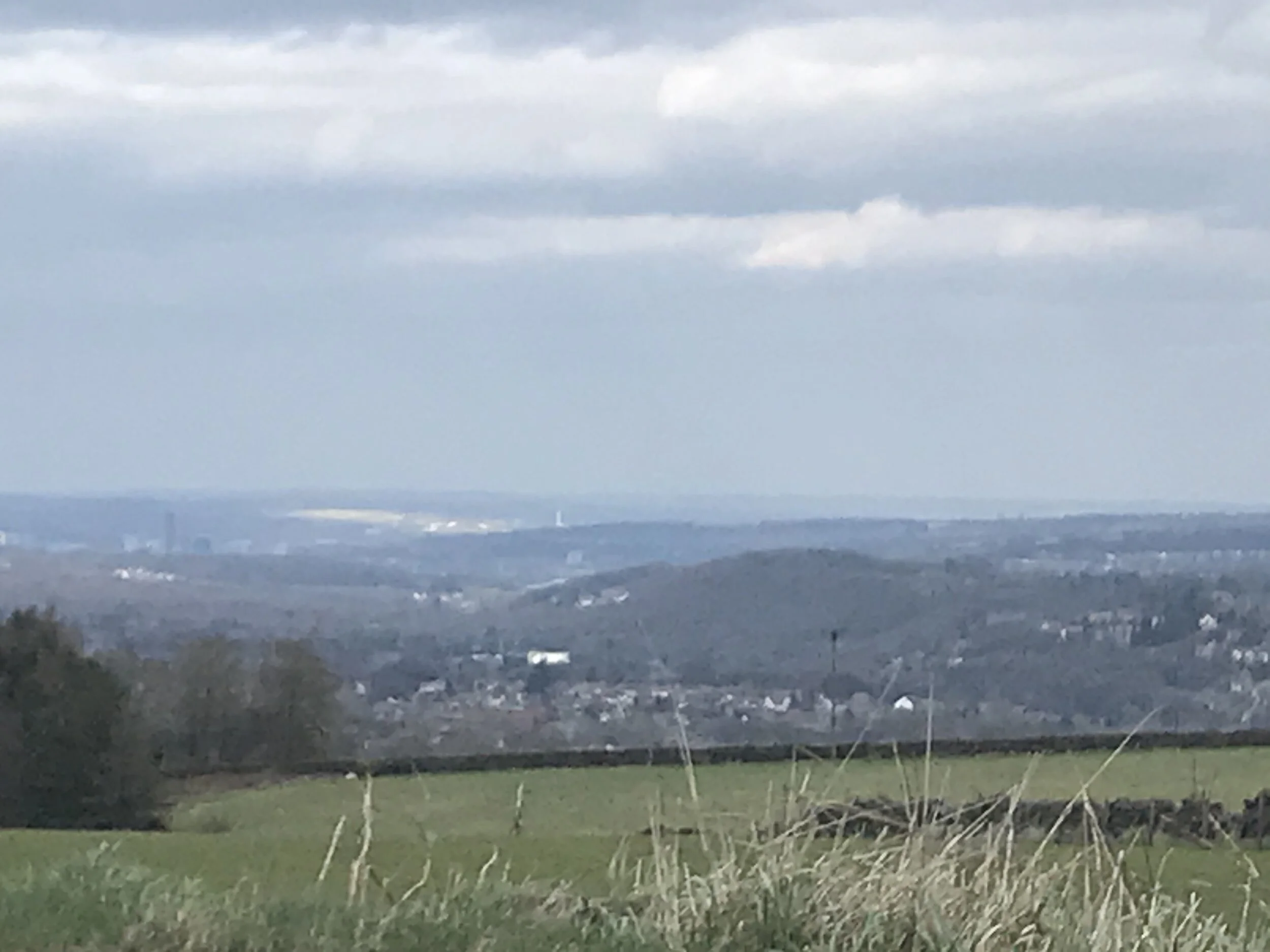 25 March - Day 21 -  'You cannot prevent birds of sorrow from flying over your head, but you can prevent them from building nests in your hair.' Proverb