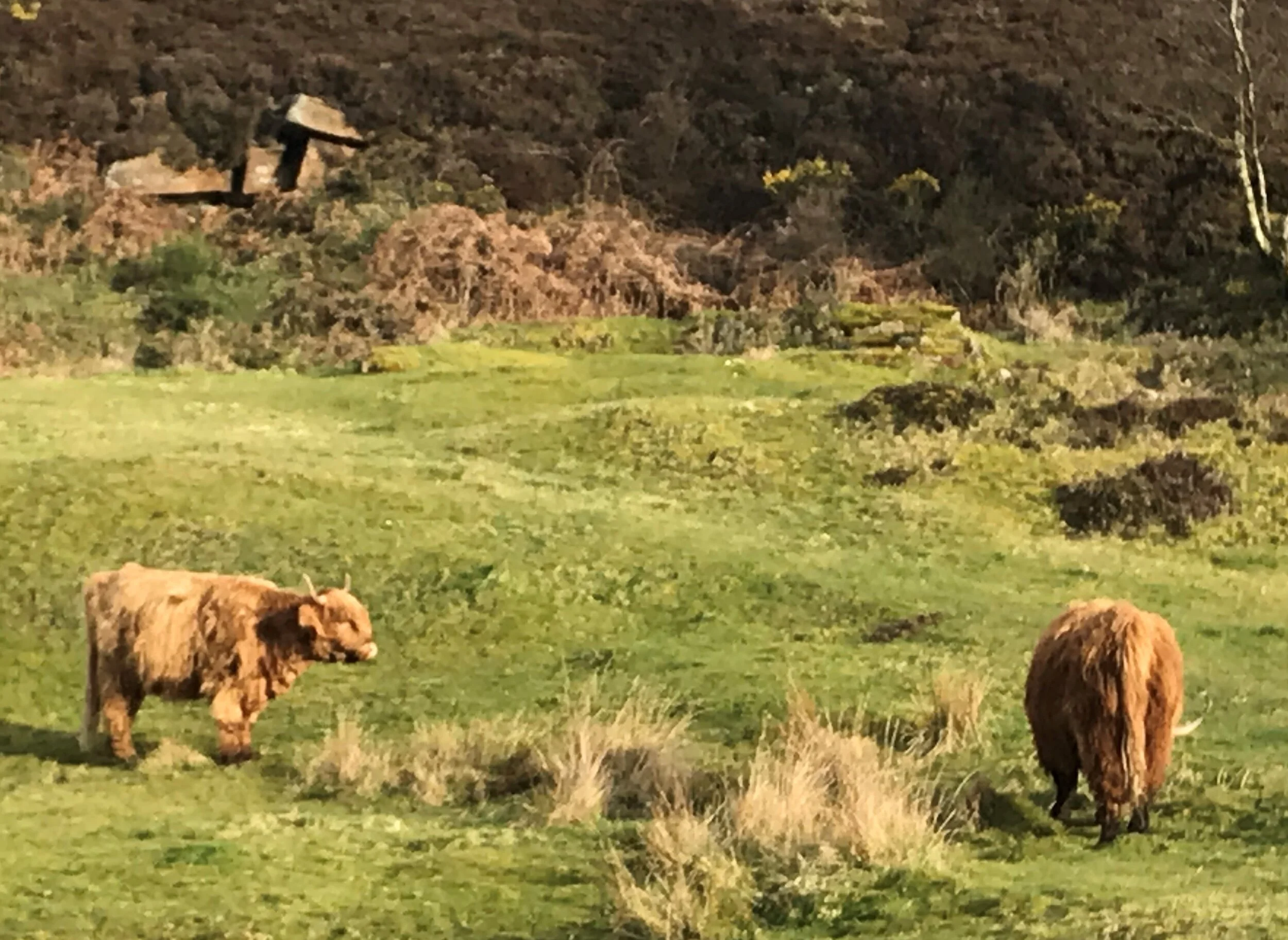 26 March - Day 22 - Let your hair be messy and your life be meaningful