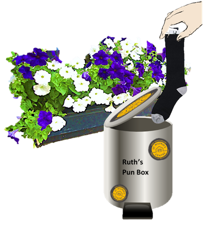 6th April - Day 27 - 'Ne'er cast a heated sock until petunias are in a window box'