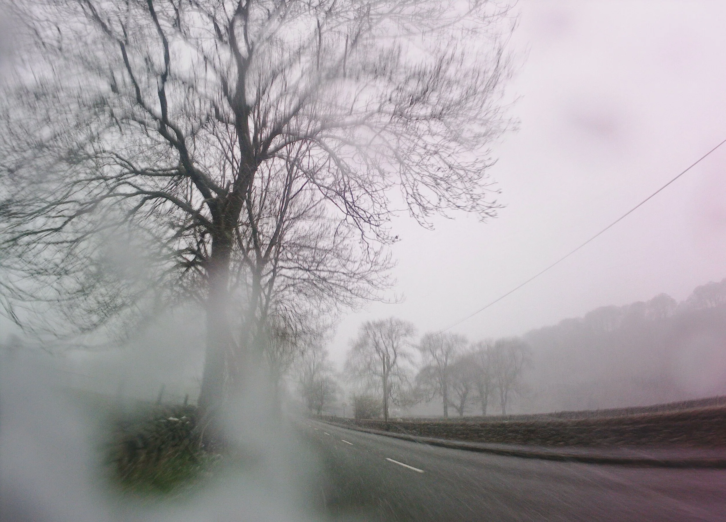 7th April - Day 28 - "In the depth of winter, I finally learned that there was in me an invincible summer." Albert Camus