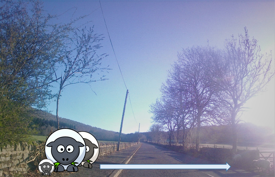 13th April - Day 32 - Deja Moo