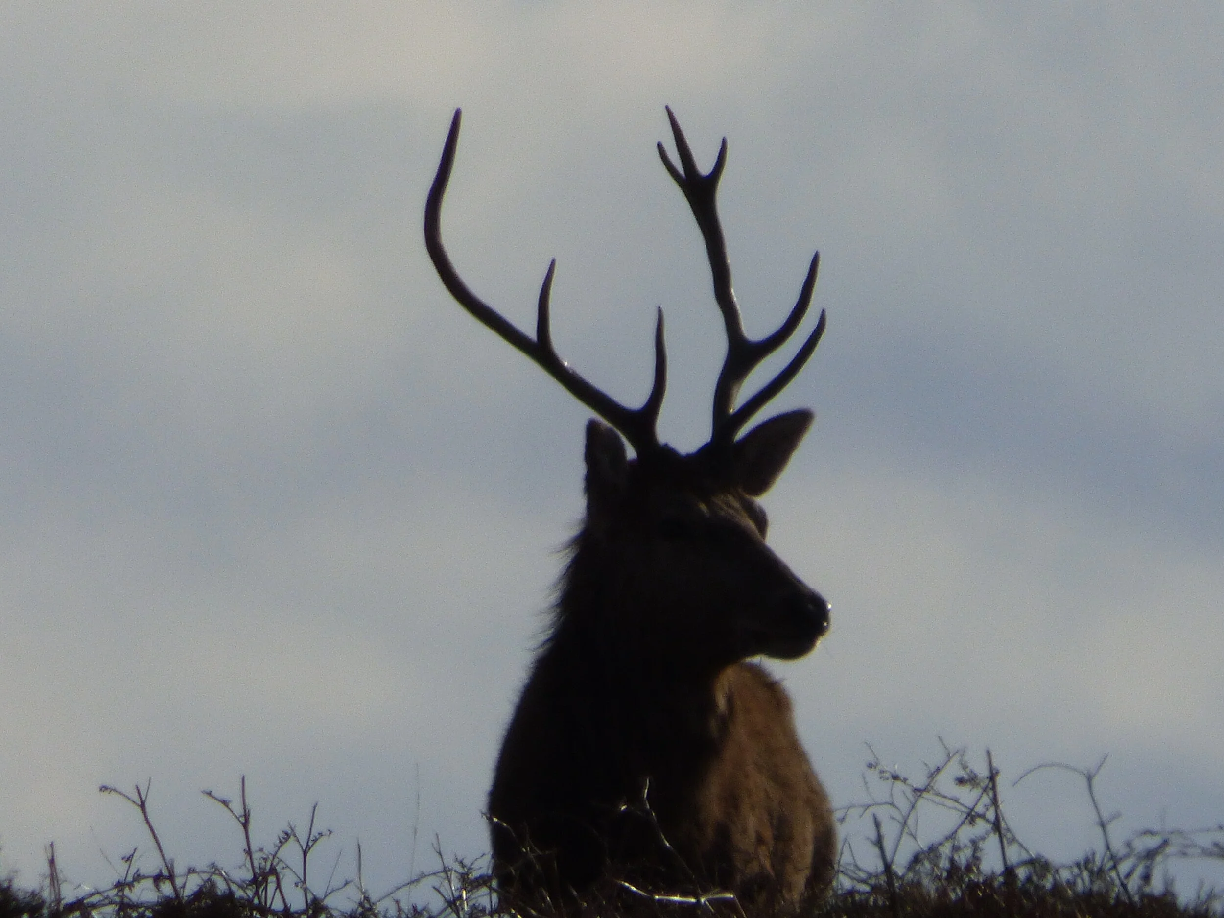 15th April - Day 34 - “What you see and what you hear depends a great deal on where you are standing. It also depends on what sort of person you are.” C S Lewis