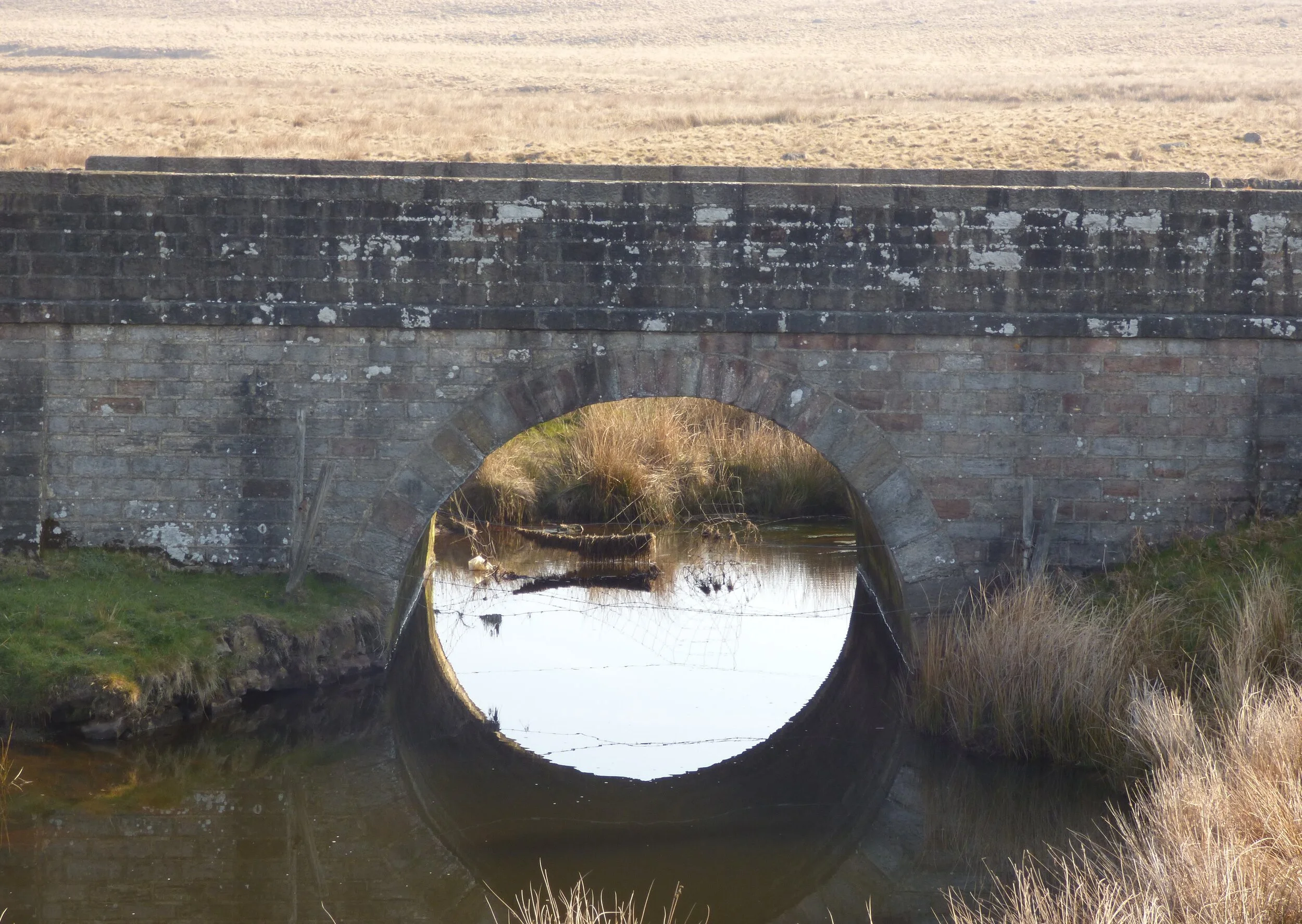 21st April Day 38 A circle is a round straight line with a hole in